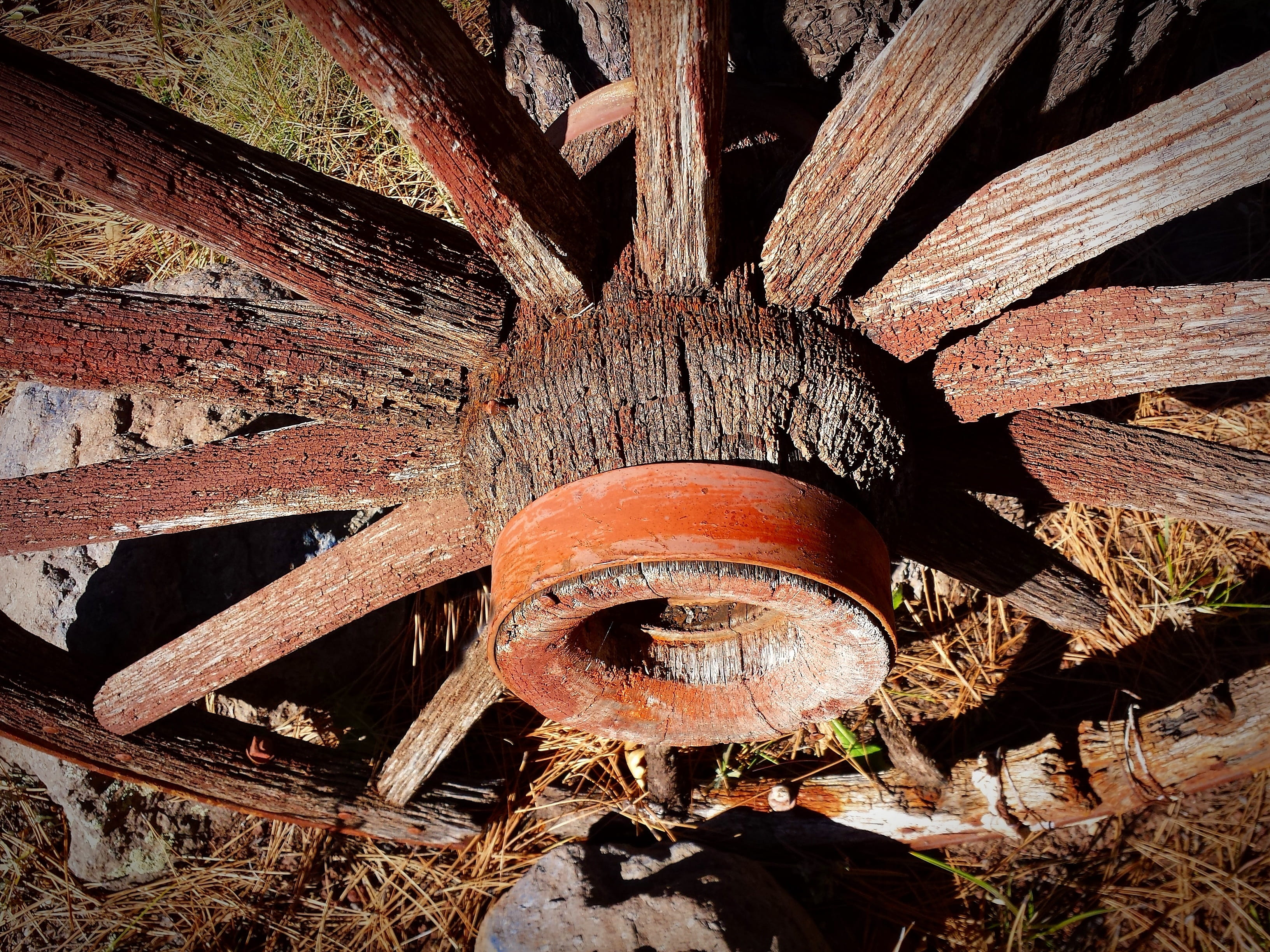 deterioration, wood - material, wagon, carriage, run-down, Old, damaged, one animal, circle, country, metal, day, Antique, weathered, Western, wheel, brown, HD Wallpaper