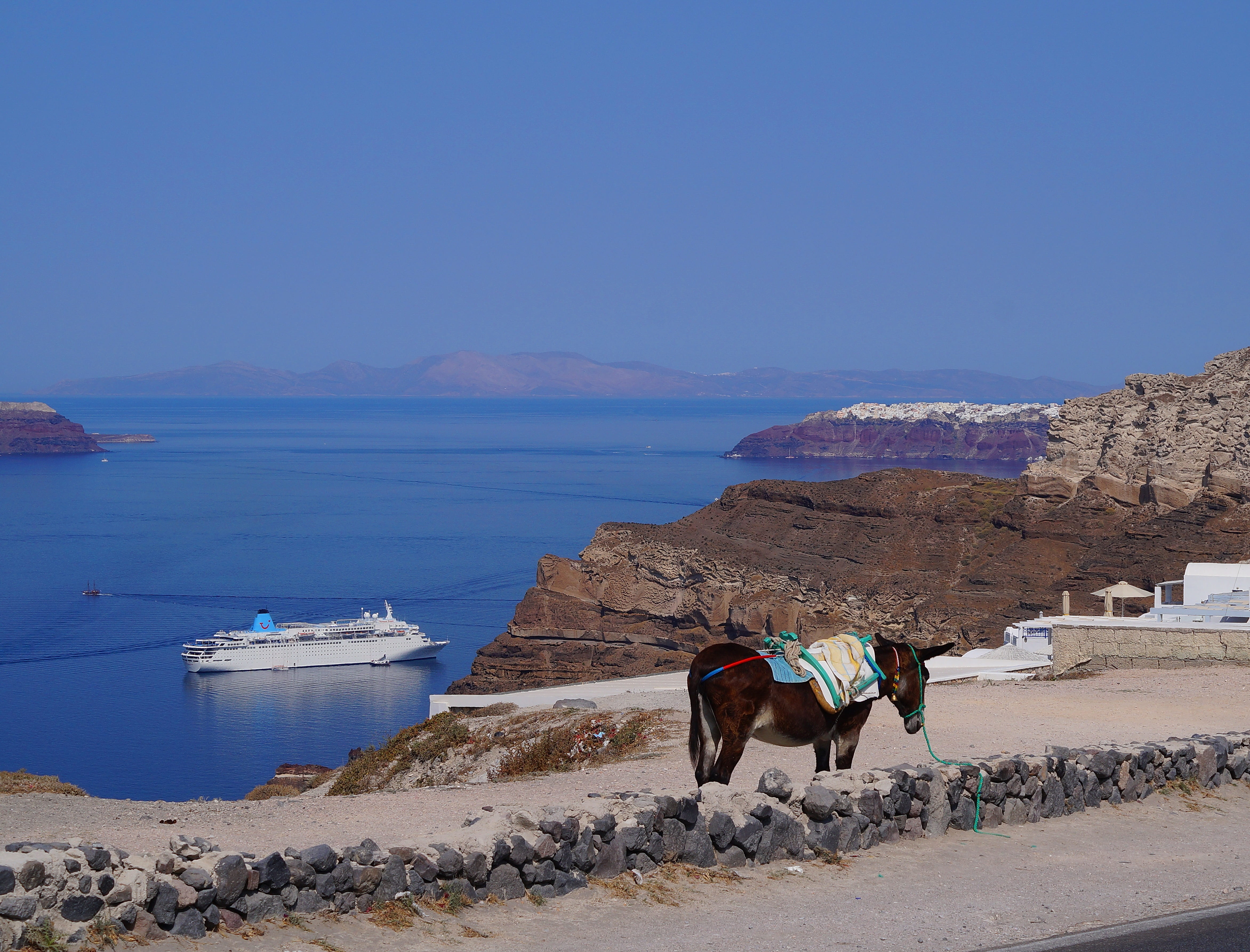 animal wildlife, cyclades, animal, domestic animals, honeymoon, oia, blue, island, domestic, one animal, mammal, sky, europe, landscape, donkey, pets, herbivorous, HD Wallpaper