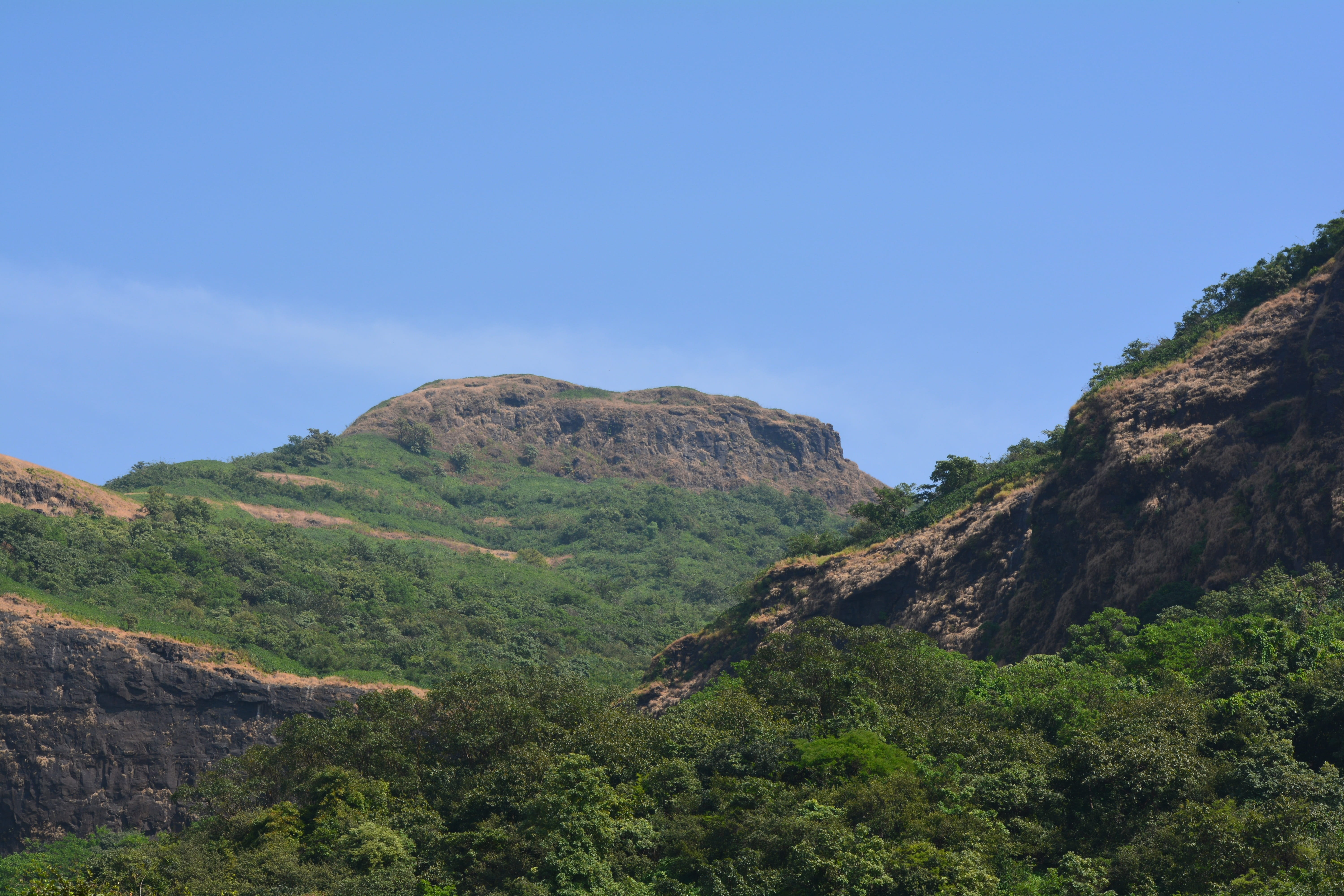 pune, tranquil scene, maharashtra, outdoors, copy space, tree, mountain, non-urban scene, green color, sky, environment, ghat, place, land, india, travel, HD Wallpaper