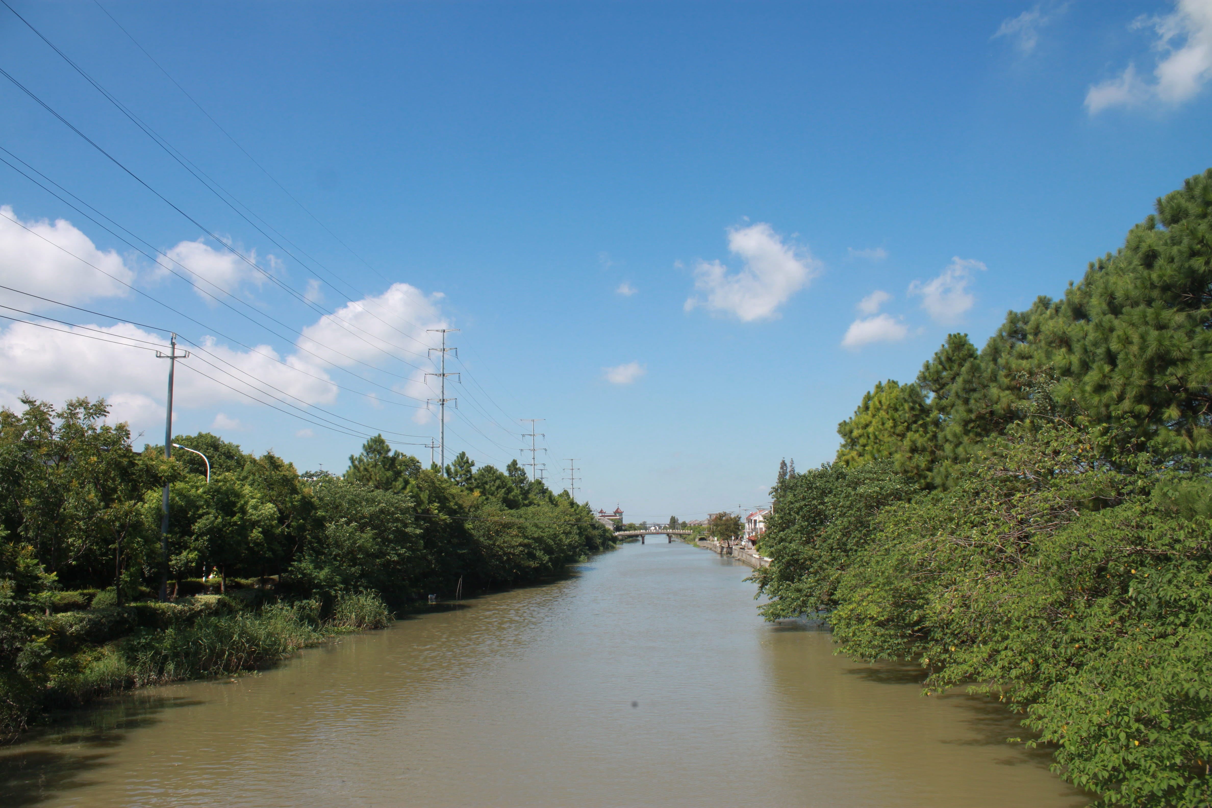 no people, tree, green, 4K, tranquility, river, cable, day, plant, jiangnan, growth, outdoors, electricity, tranquil scene, electricity pylon, beauty in nature, HD Wallpaper