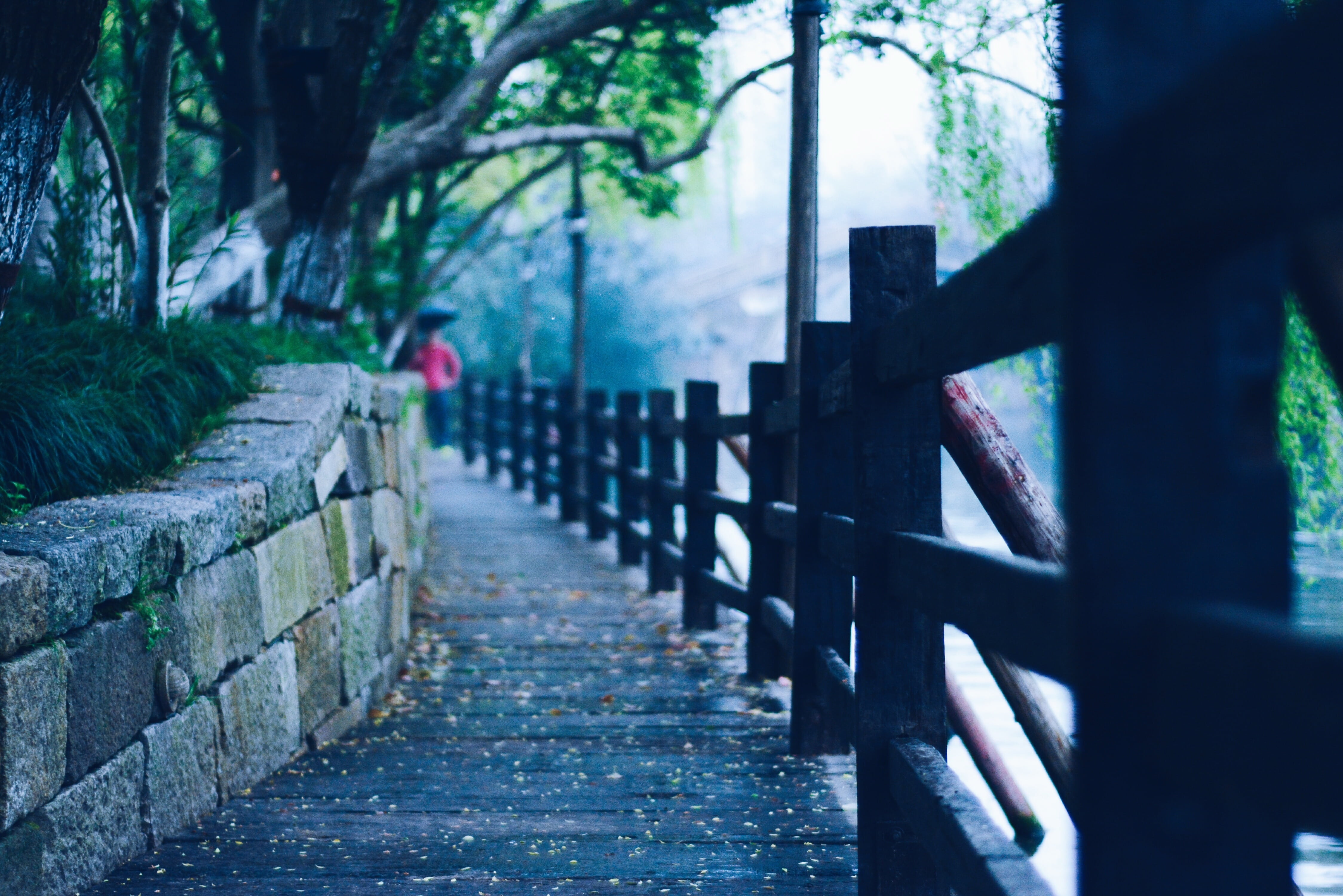 flower, footpath, bridge, 4K, plant, tranquility, no people, park, tree, outdoors, wuzhen, spring, wood - material, empty, direction, day, the scenery, HD Wallpaper