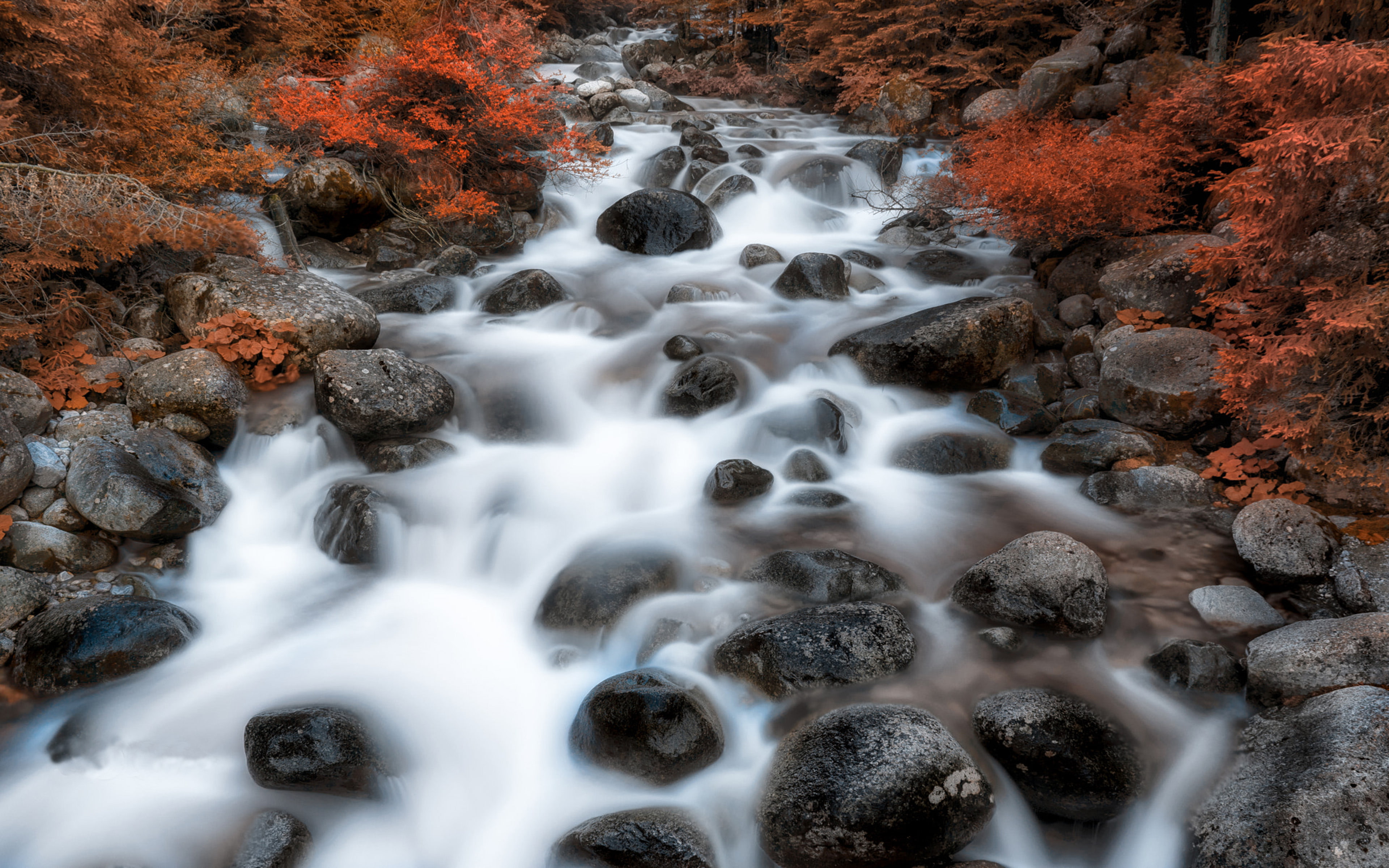water, rocks, dermyanitsa, autumnal, desktop, sand, bulgaria, forest, 4K, mountain, red, landscape, bushes, leaves, hd, bansko, river, stream, HD Wallpaper