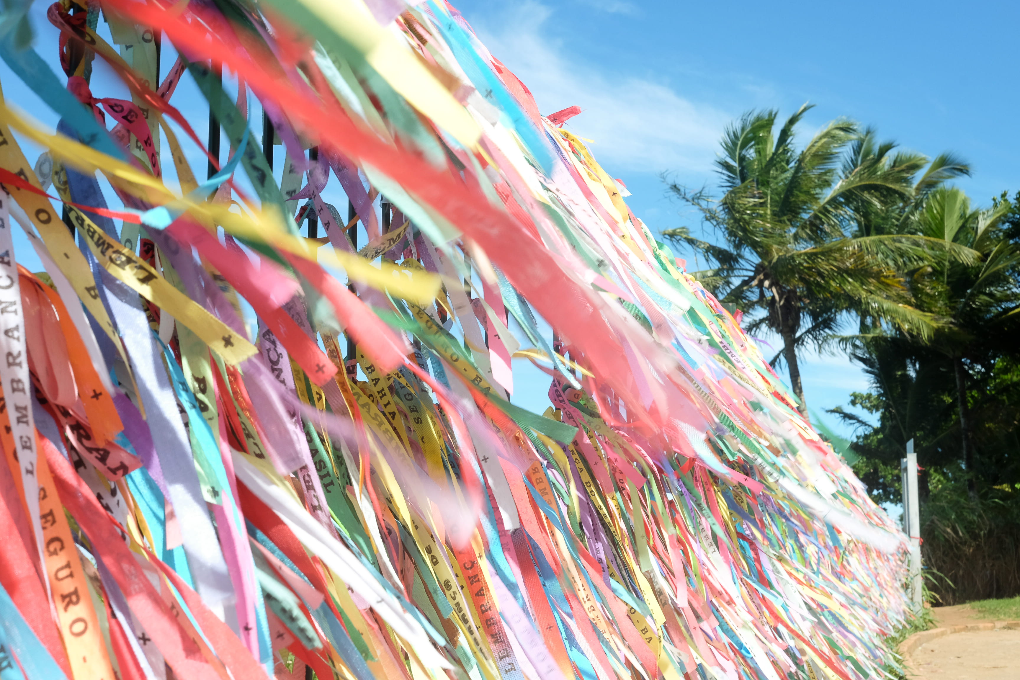close-up, growth, porto seguro, tropical climate, large group of objects, sky, day, hanging, palm tree, outdoors, nature, tree, decoration, plant, multi colored, HD Wallpaper