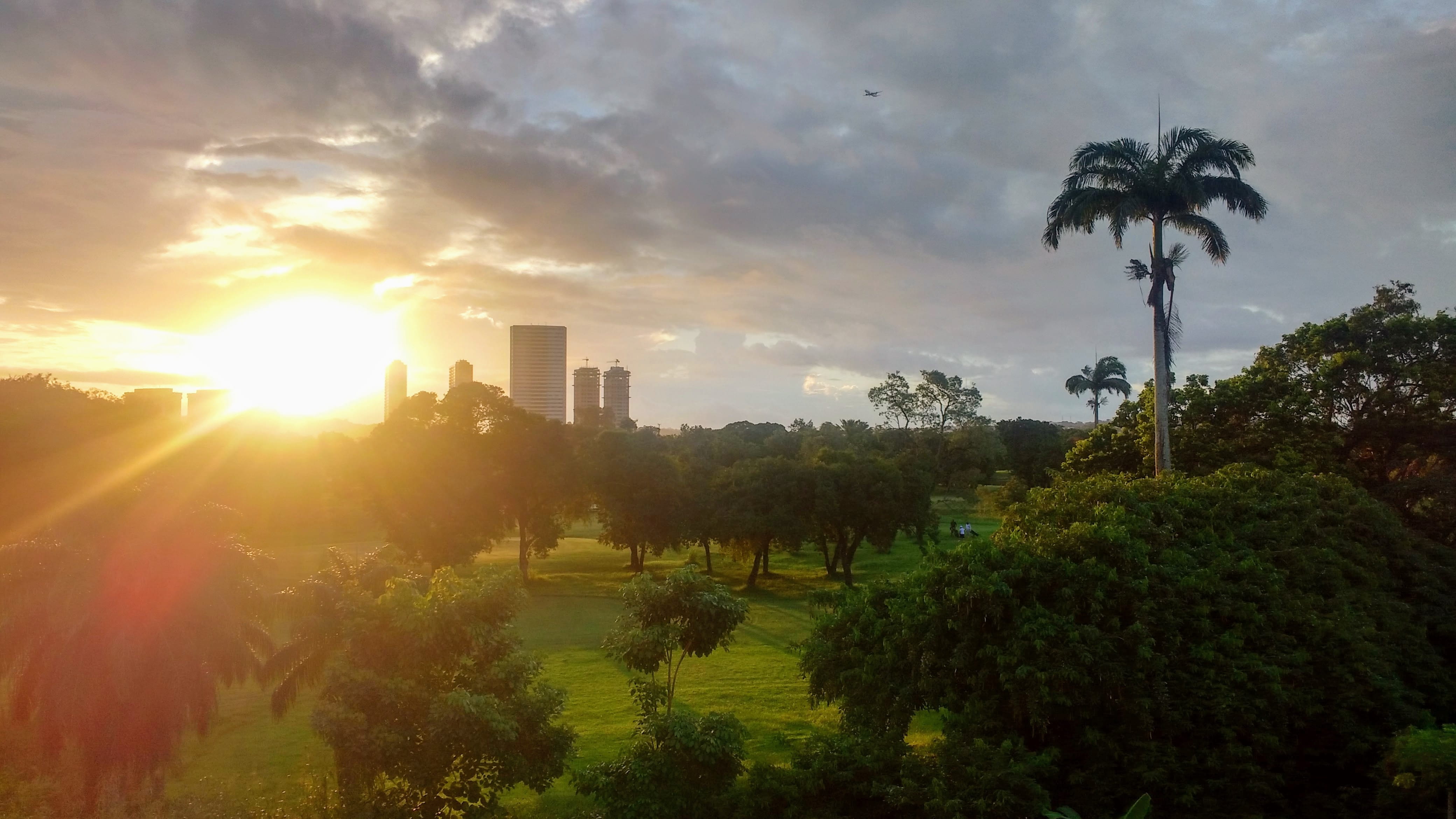 cloud - sky, lens flare, caxangá golf country club, palm tree, park, nature, no people, building exterior, brazil, growth, 4K, architecture, campo, sky, HD Wallpaper