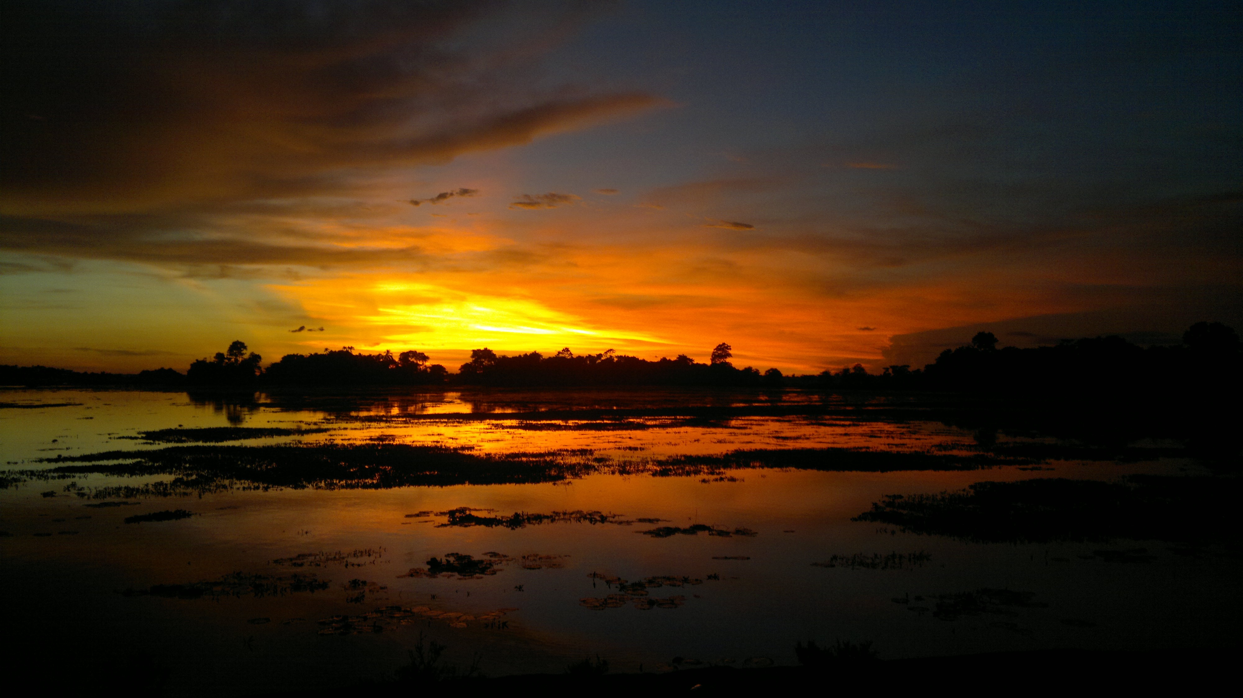 dawn, sunset, orange color, bangladesh, golden, twilight, beauty in nature, idyllic, dramatic sky, sylhet, tranquility, barlekha, hour, nature, dusk, sea, HD Wallpaper