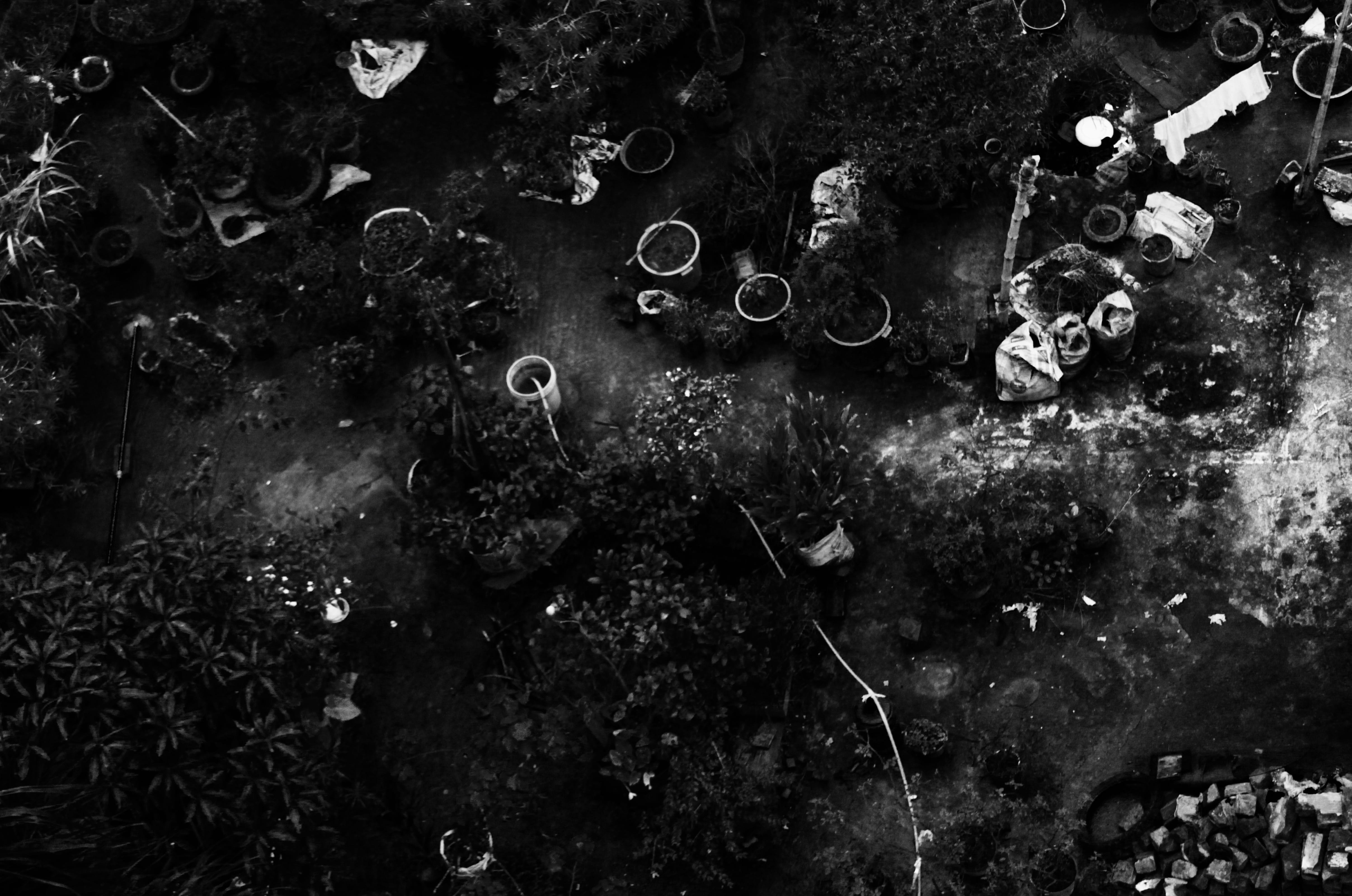 high angle view, vulnerability, animals in the wild, no people, 4K, fragility, group of animals, field, abstract, garbase, bubble, sylhet, outdoors, land, HD Wallpaper