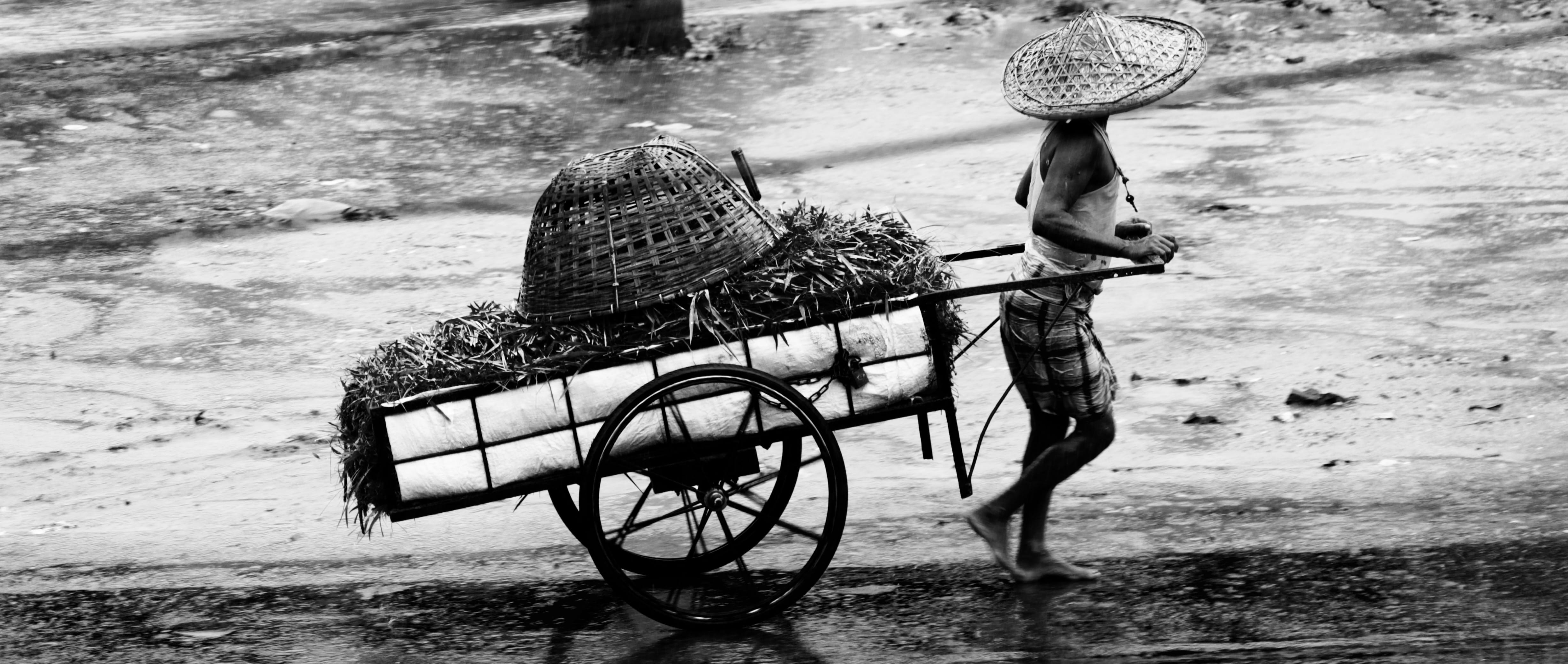 water, focus on foreground, fishing, beach, sylhet, high angle view, wet, day, occupation, one person, basket, outdoors, 4K, nature, grass, hard-worker, HD Wallpaper