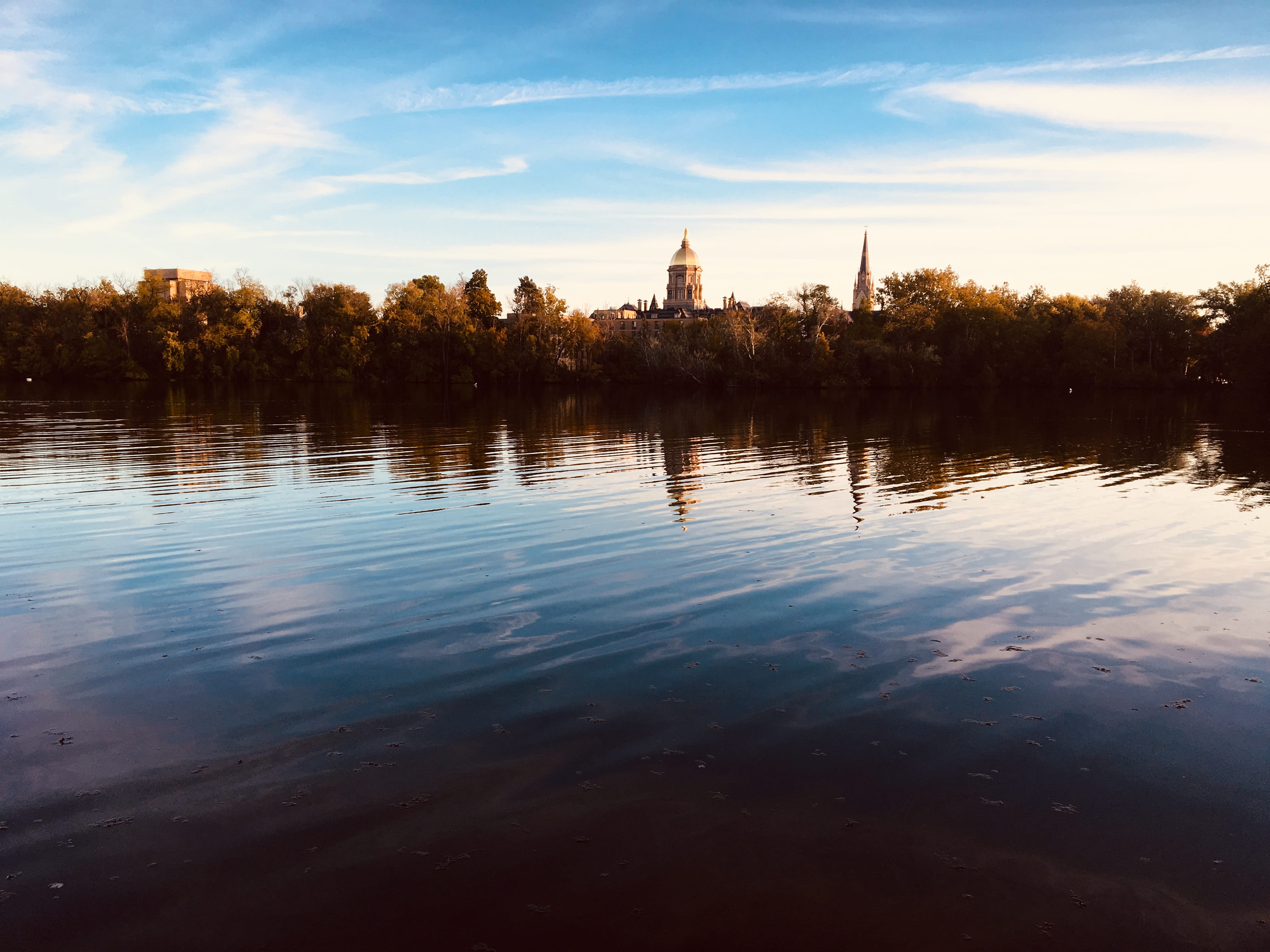 nature, vegetation, reservoir, near, notre dame, tranquil scene, no people, beauty in nature, dawn, tranquility, plant, building exterior, scenics - nature, HD Wallpaper