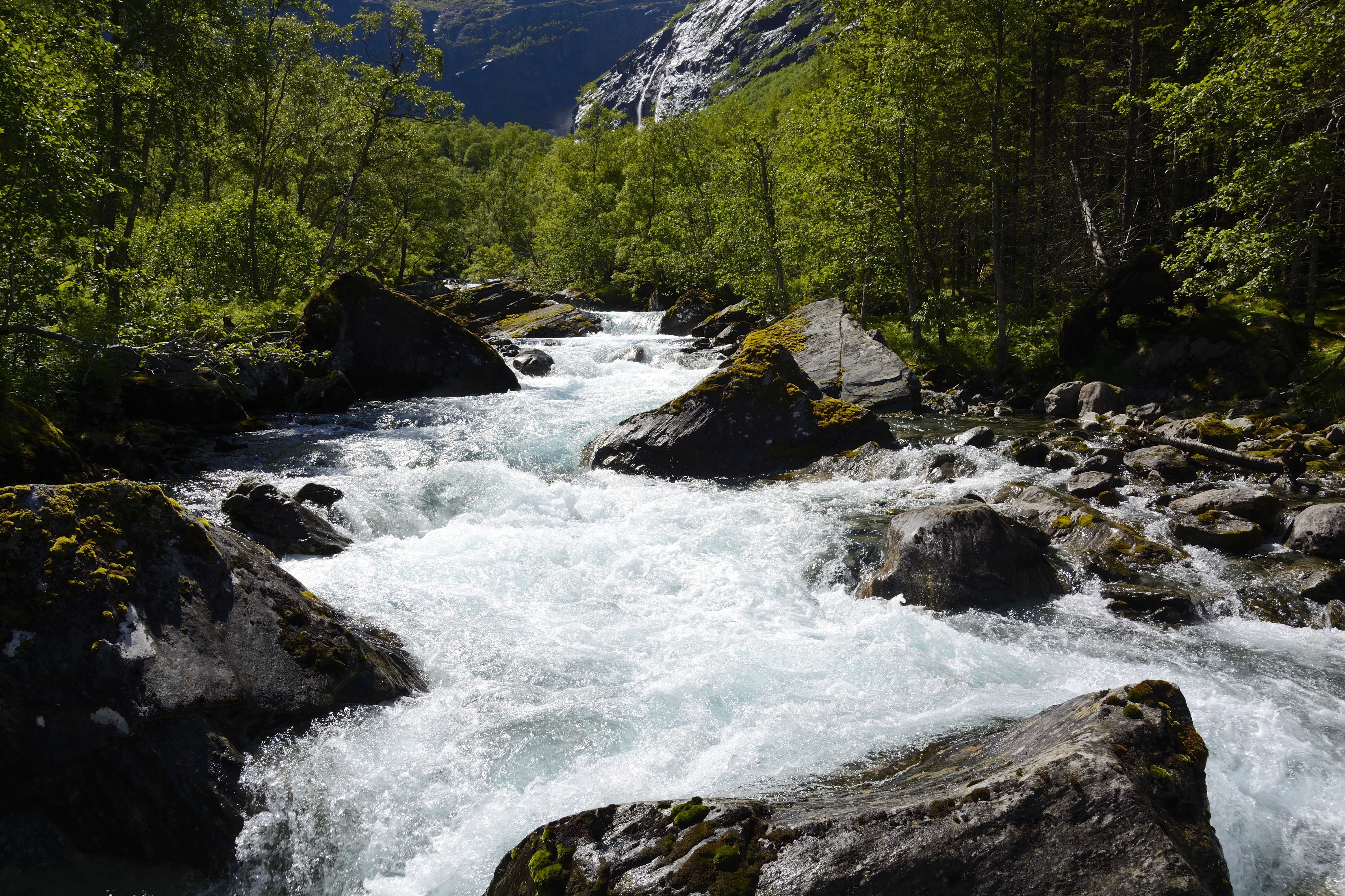 no people, motion, flowing, day, river, scenics - nature, power in nature, 5K, rock - object, plant, beauty in nature, flowing water, nature, non-urban scene, HD Wallpaper