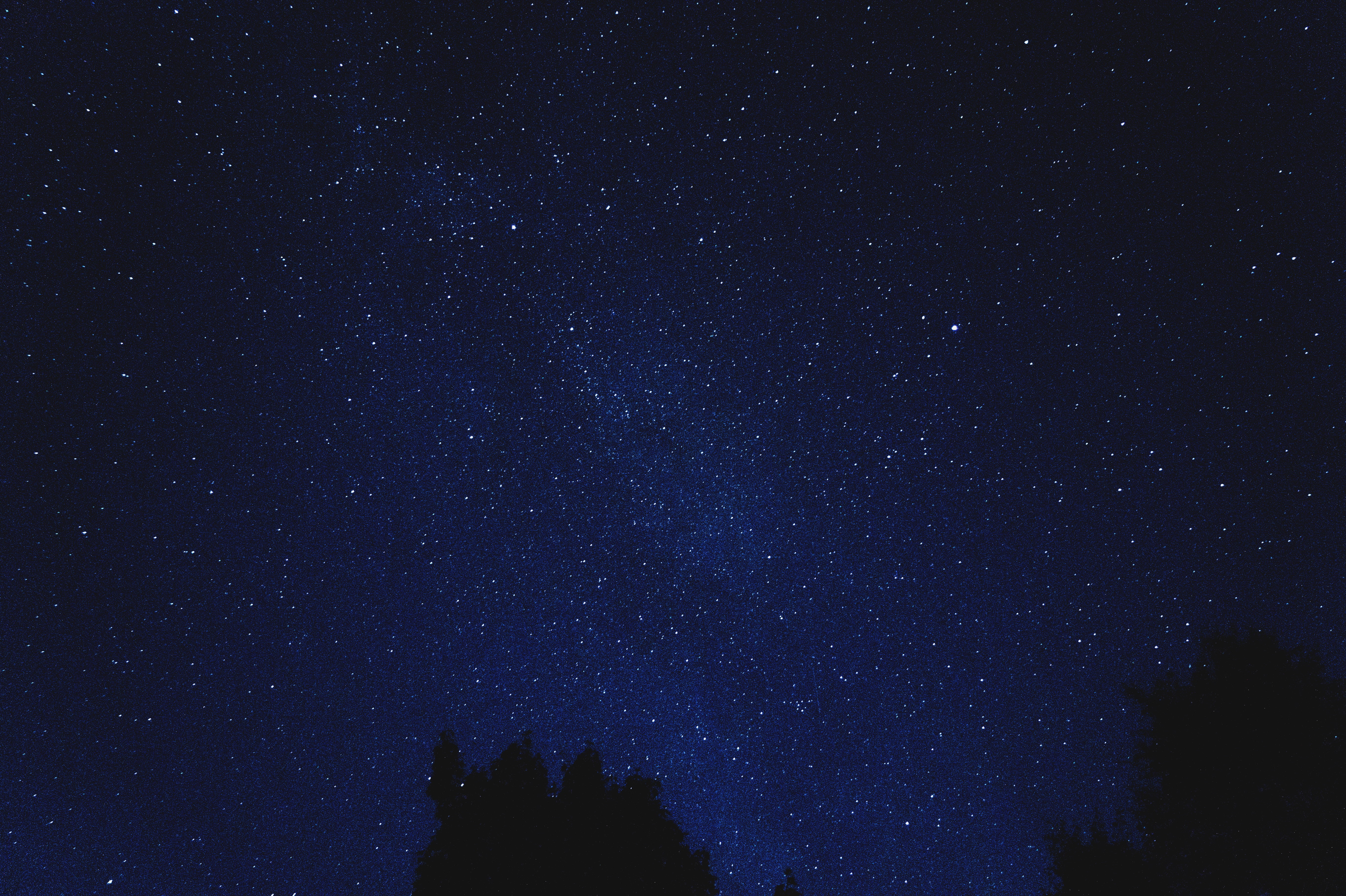 starry sky, dark, galaxy, astrology, tree, beauty in nature, landscape, black Color, star Shape, milky Way, star, nebula, infinity, low angle view, sky, HD Wallpaper