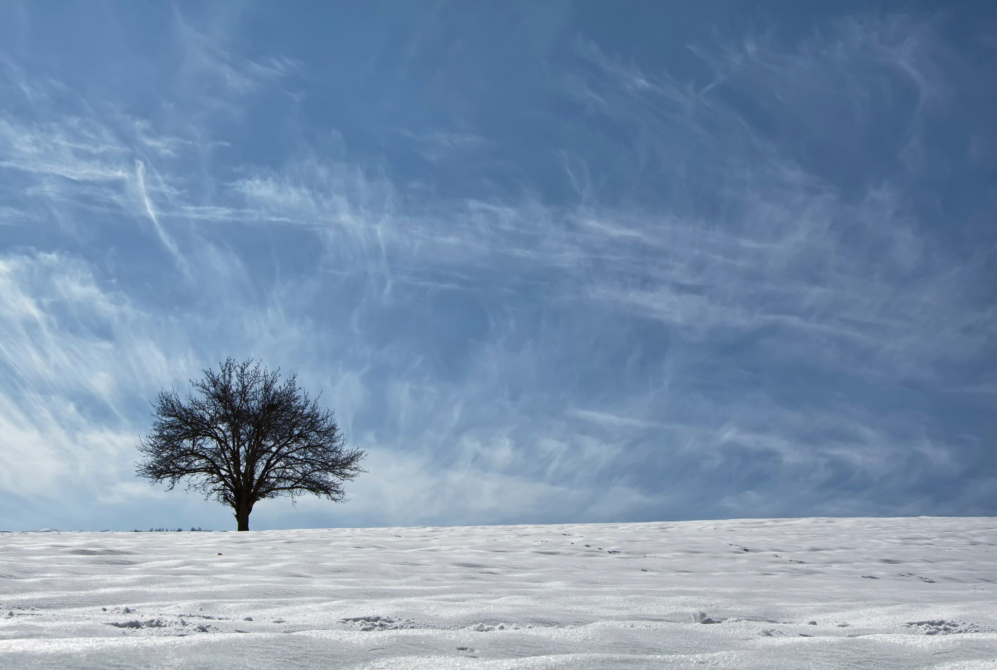 ethno-geographical region, Asia, the sky, Kurdistan, 1080P, snow, tree, HD Wallpaper