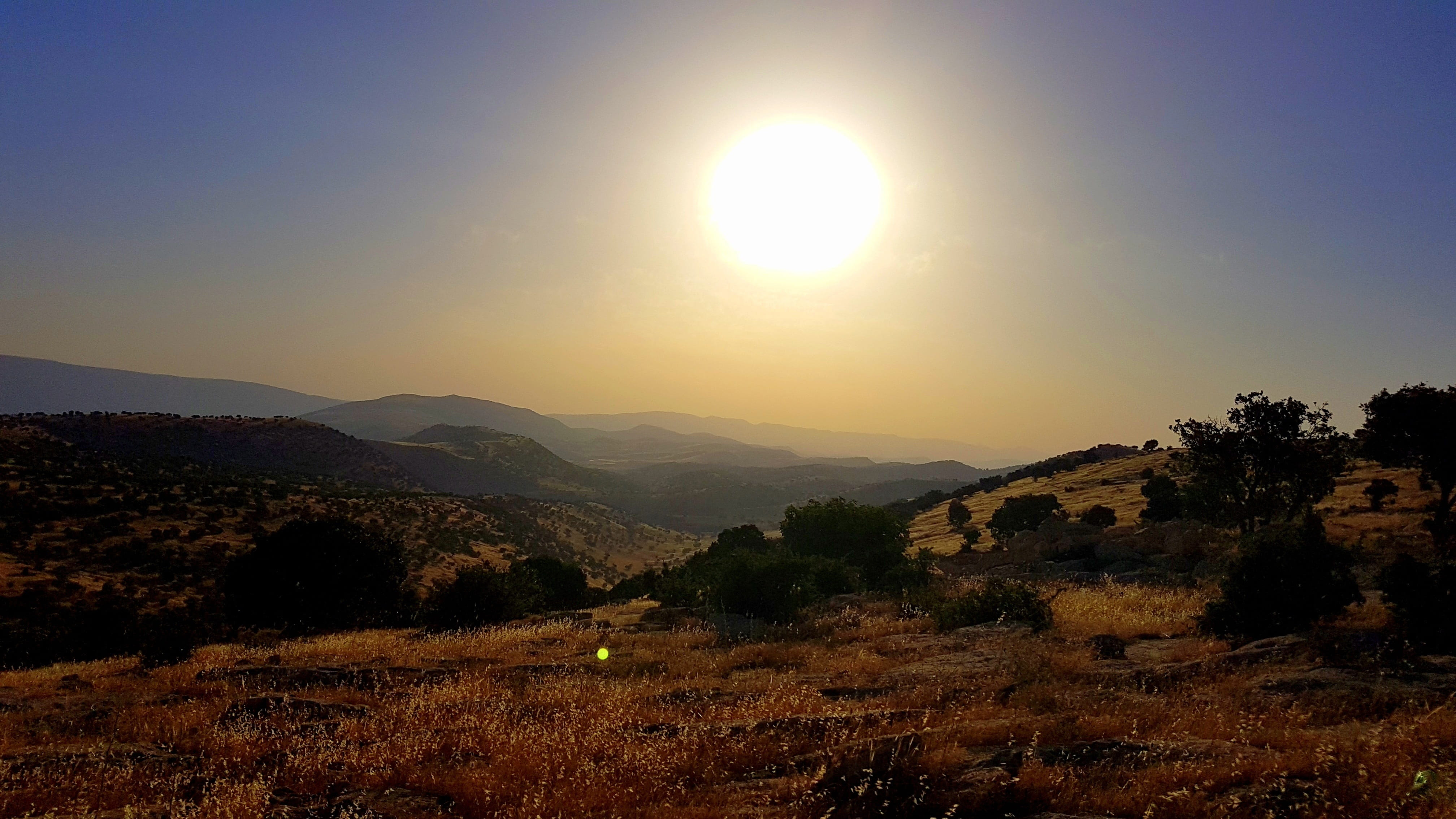 plant, outdoors, nature, scenics - nature, landscape, 4K, sun, mountain range, idyllic, environment, lens flare, sunlight, tranquil scene, bright, tranquility, HD Wallpaper