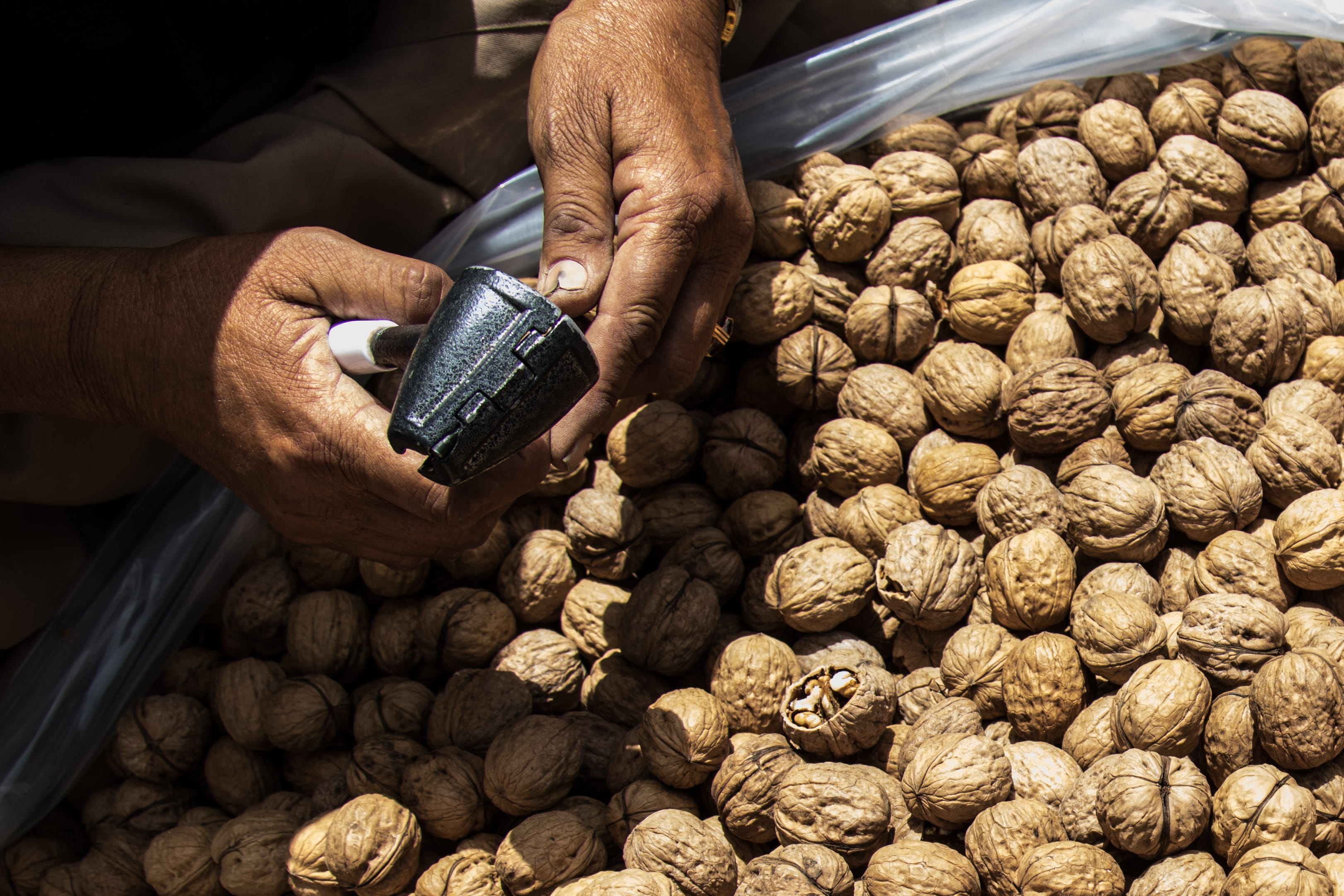 traditional, kurdistan, market, close-up, healthy, raw, finger, Nut, business, human limb, Nuts, human body part, abundance, agriculture, outdoors, cracking nuts, HD Wallpaper