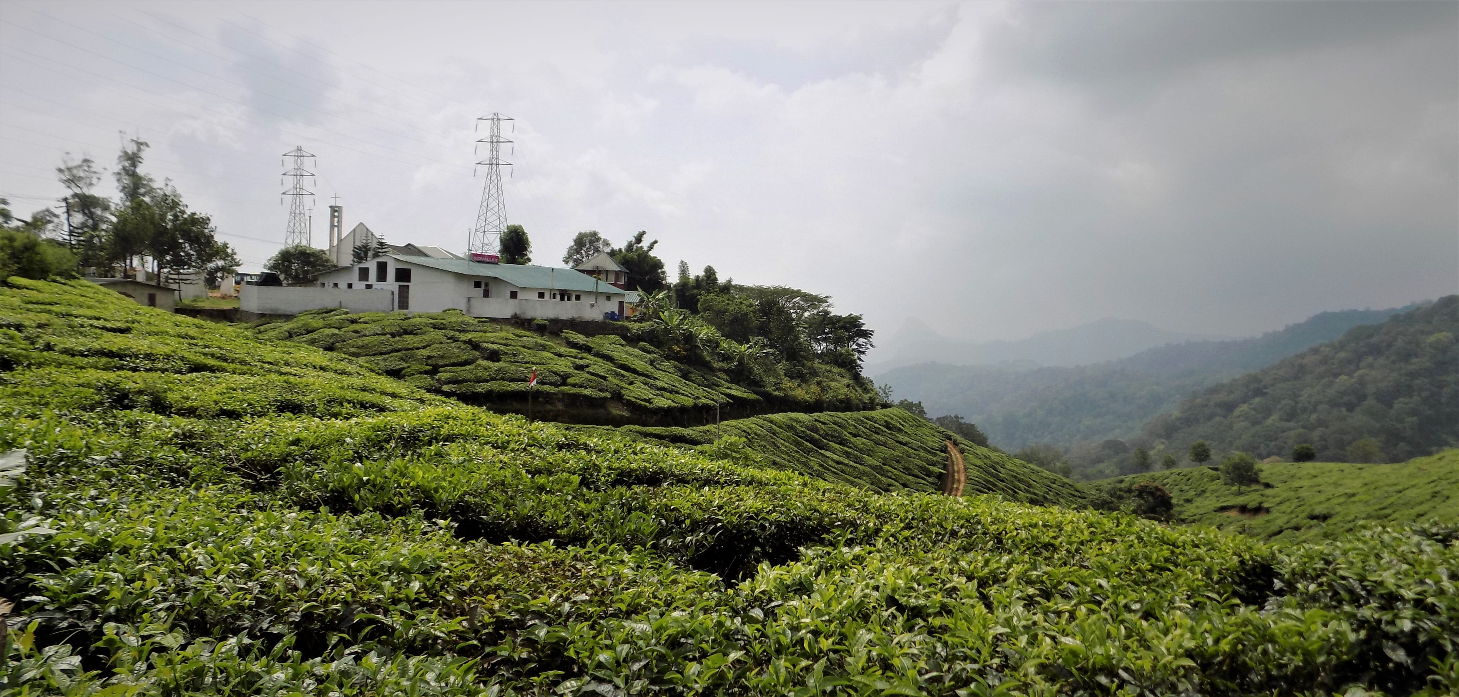 plantation, land, tourism, scenics - nature, green color, tea, mountain, landscape, no people, 4K, india, tree, nature, sky, architecture, beauty in nature, HD Wallpaper