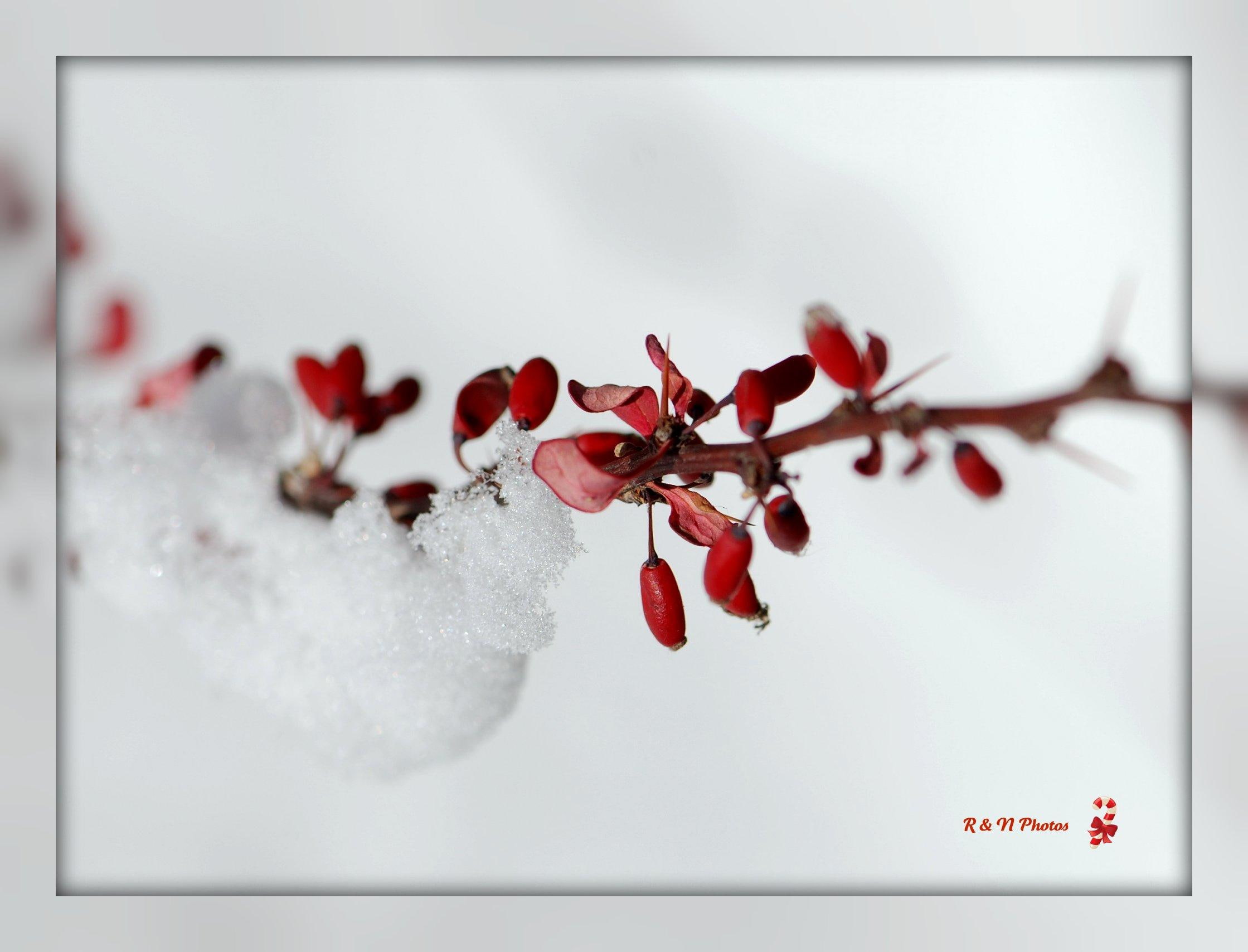snow, 3d and abstract, delicate, 1080P, winter, white, wintertime, time, HD Wallpaper