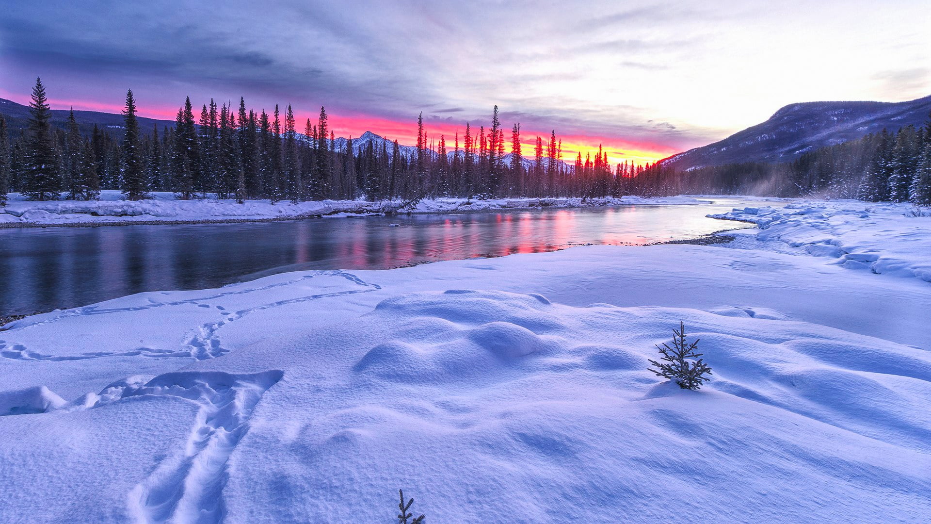 coniferous tree, tree, frozen, mountain, land, plant, scenics - nature, sky, wintertime, nature, winter, landscape, morning, winter landscape, cold temperature, HD Wallpaper