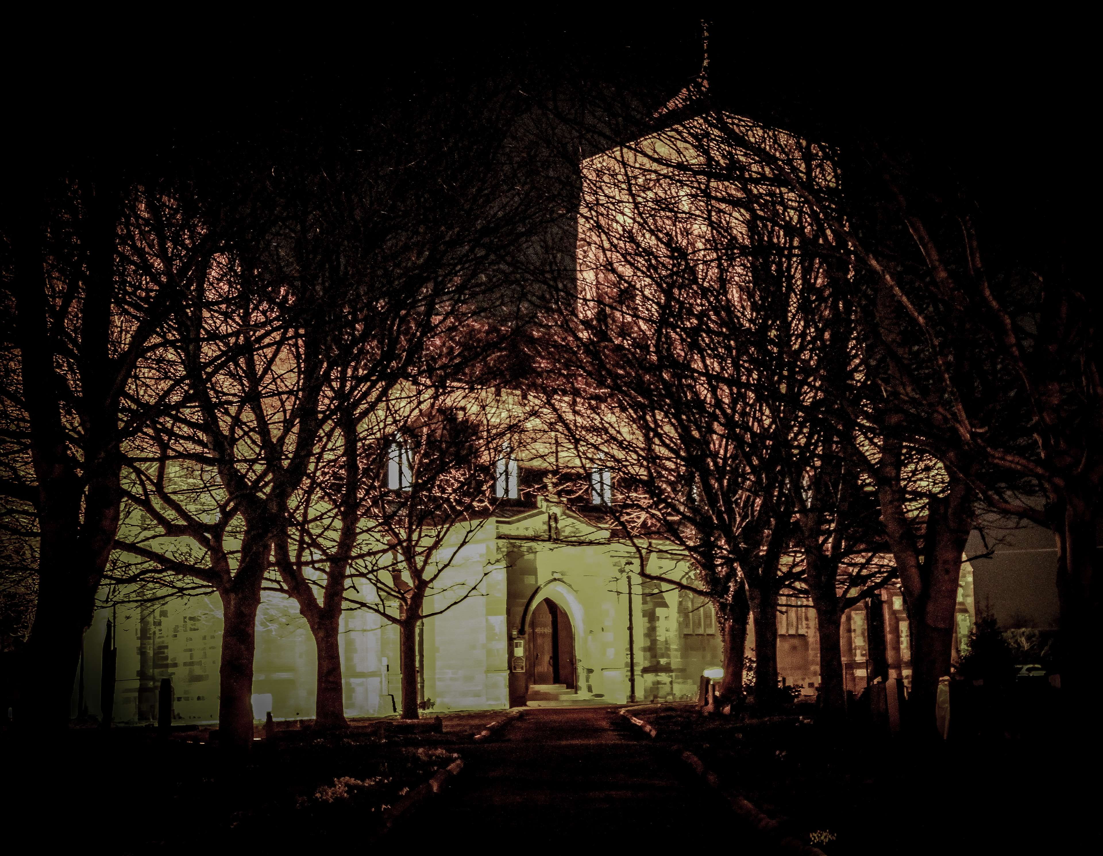 the way forward, tree, no people, plant, trees, door, path, religion, building, st marys church stretton, 4K, architecture, spirituality, nature, history, HD Wallpaper