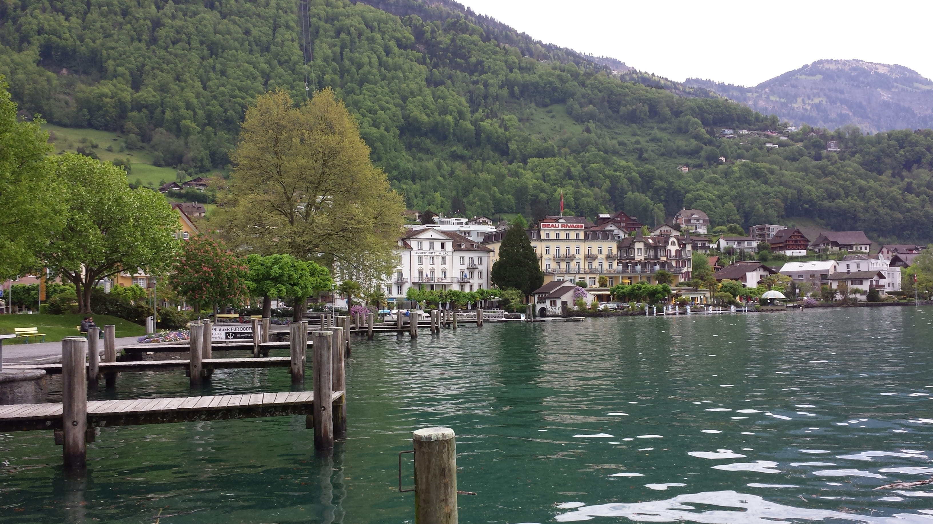 architecture, river, tree, web, transportation, built structure, Lake Lucerne, lake lucerne region, no people, day, travel, building exterior, jetty, waterfront, HD Wallpaper