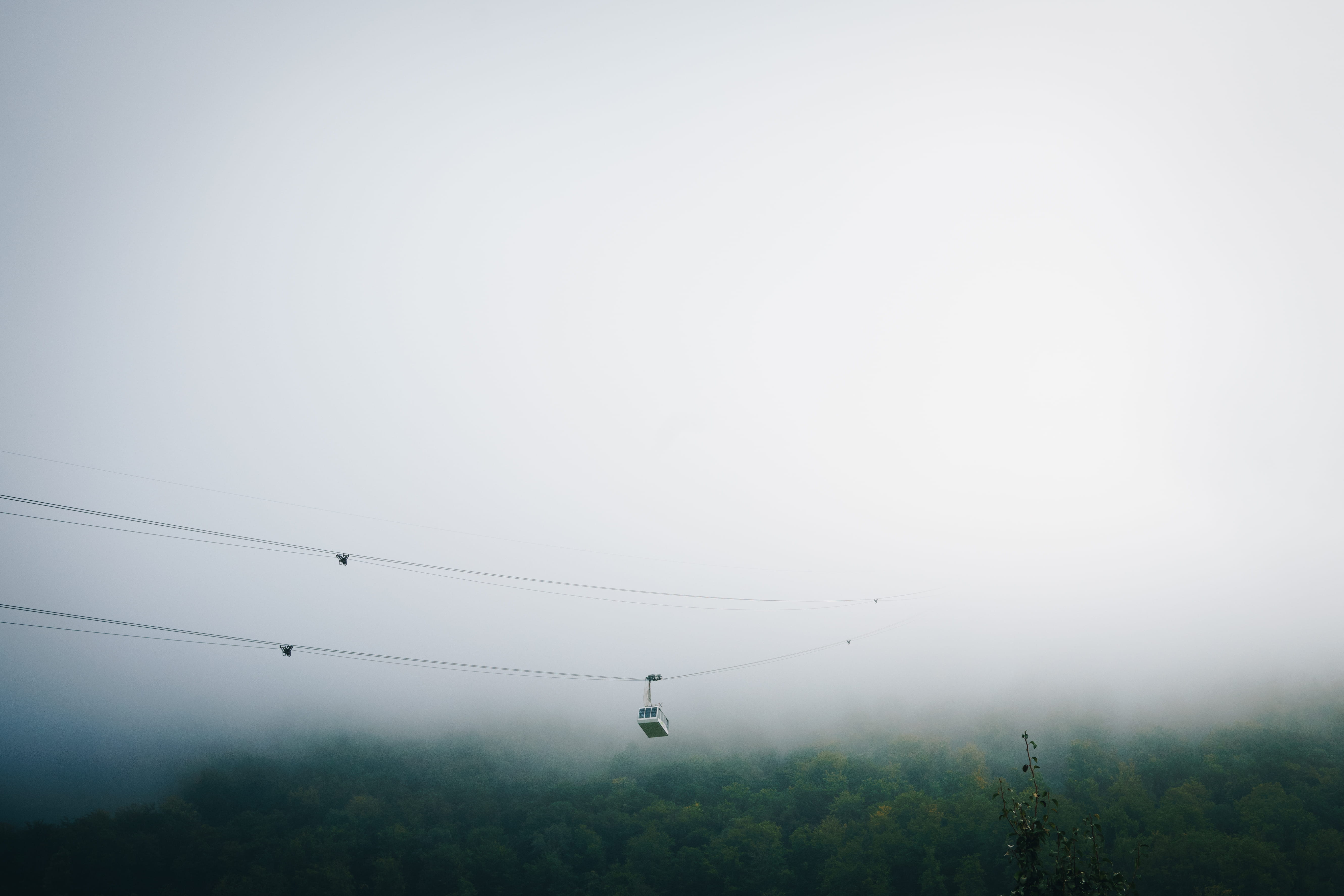 electricity, nature, 5K, cable, cable car, weggis (luftseilbahn), no people, landscape, fog, switzerland, connection, tree, scenics - nature, day, beauty in nature, HD Wallpaper