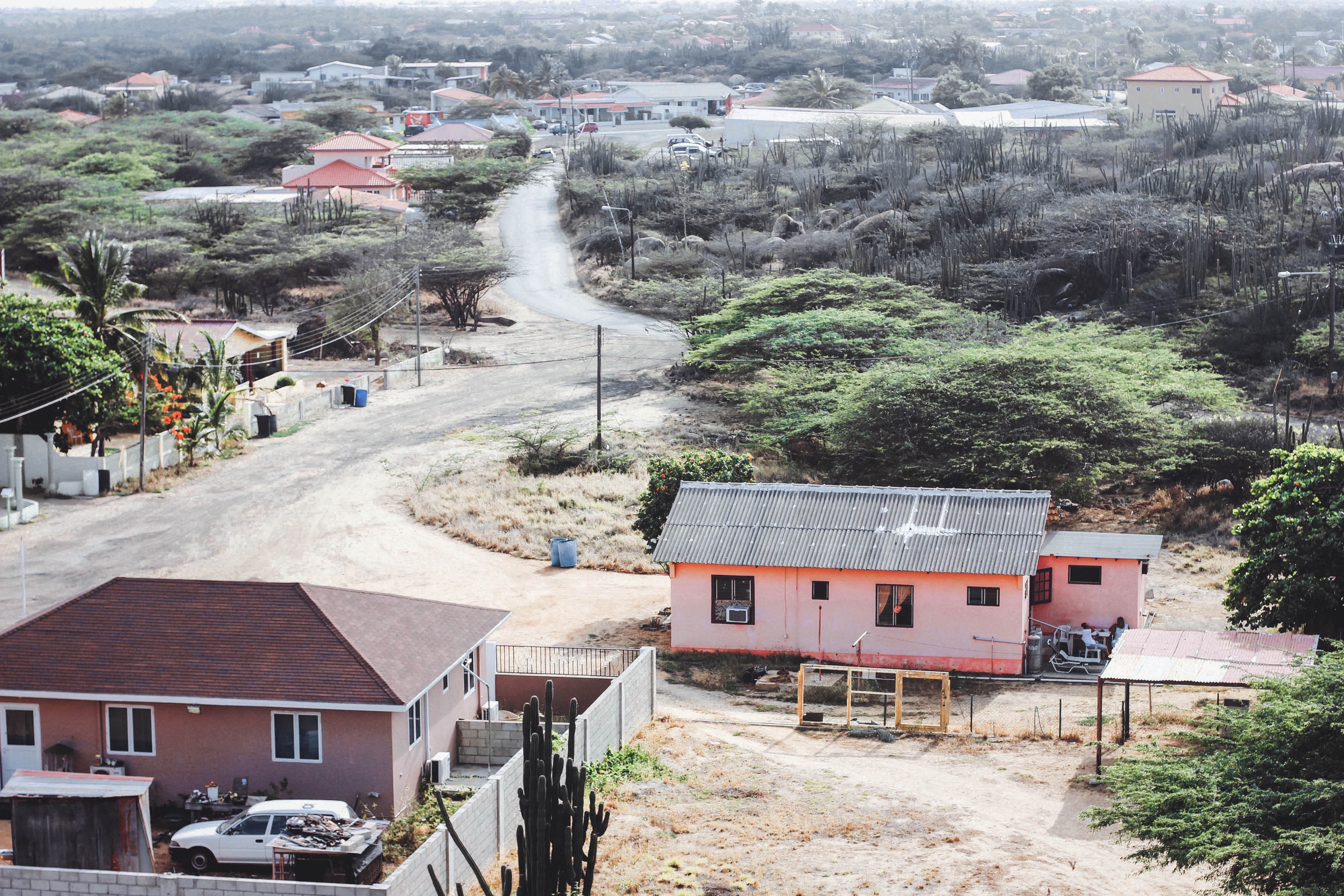 oranjestad, motion, residential district, incidental people, rail transportation, plants, 5K, architecture, island, nature, house, plant, aruba, travel, HD Wallpaper