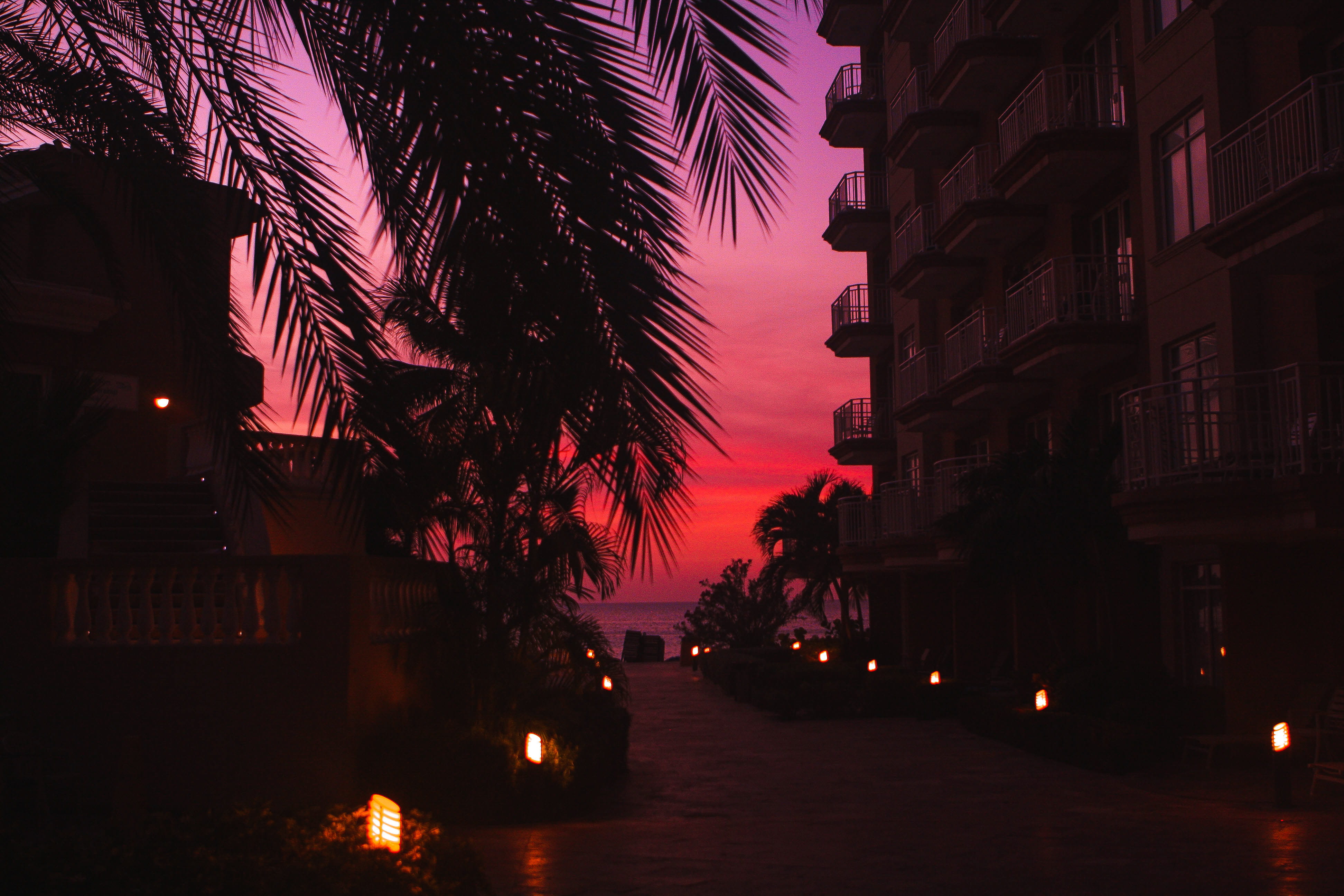 plant, night, outdoors, tree, building exterior, illuminated, no people, sky, architecture, nature, palm tree, city, street, dusk, water, built structure, HD Wallpaper