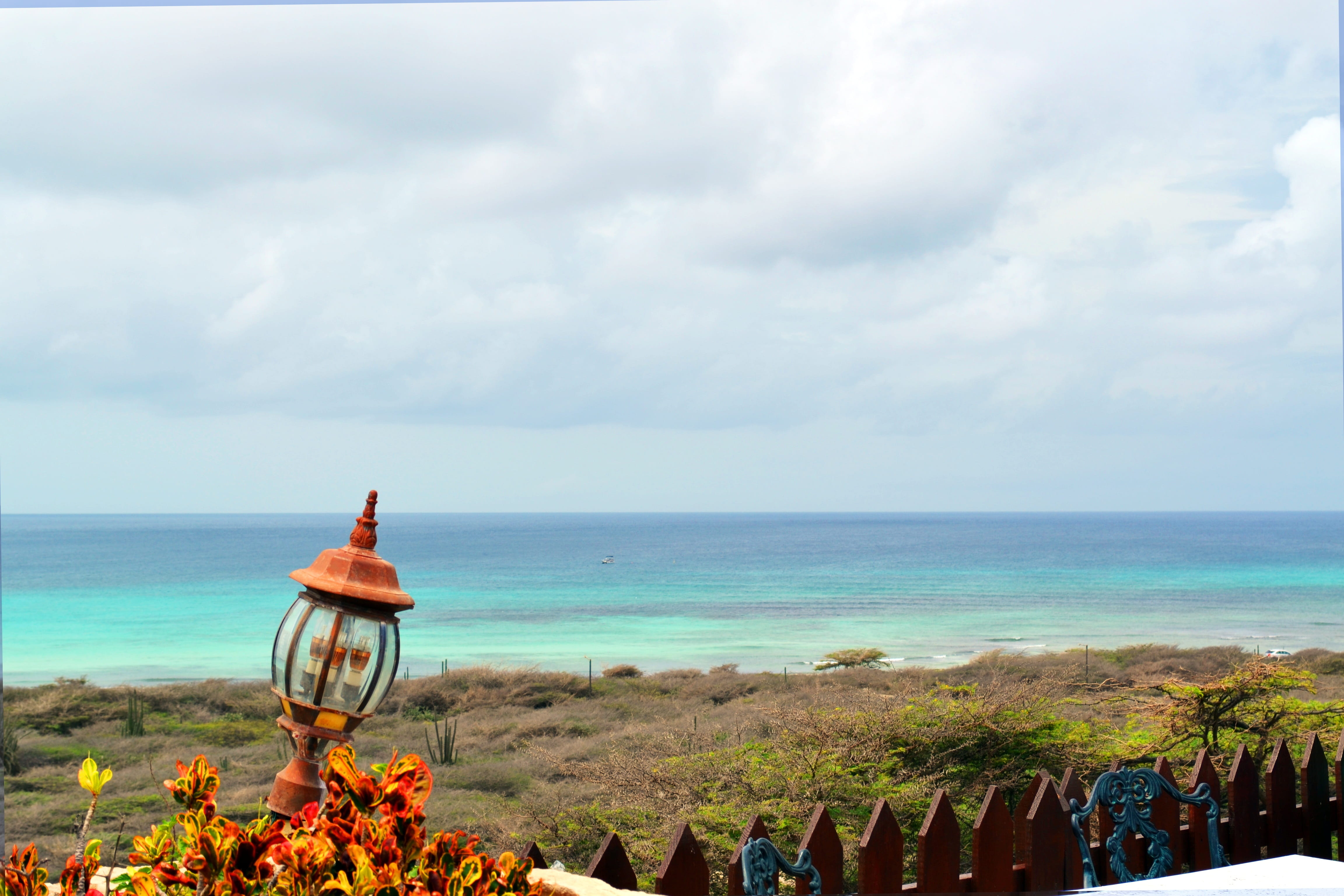 holidays, horizon over water, summer, outdoors, tranquility, tranquil scene, sea, beach, scenics - nature, horizon, cactus of the caribbean, land, idyllic, HD Wallpaper