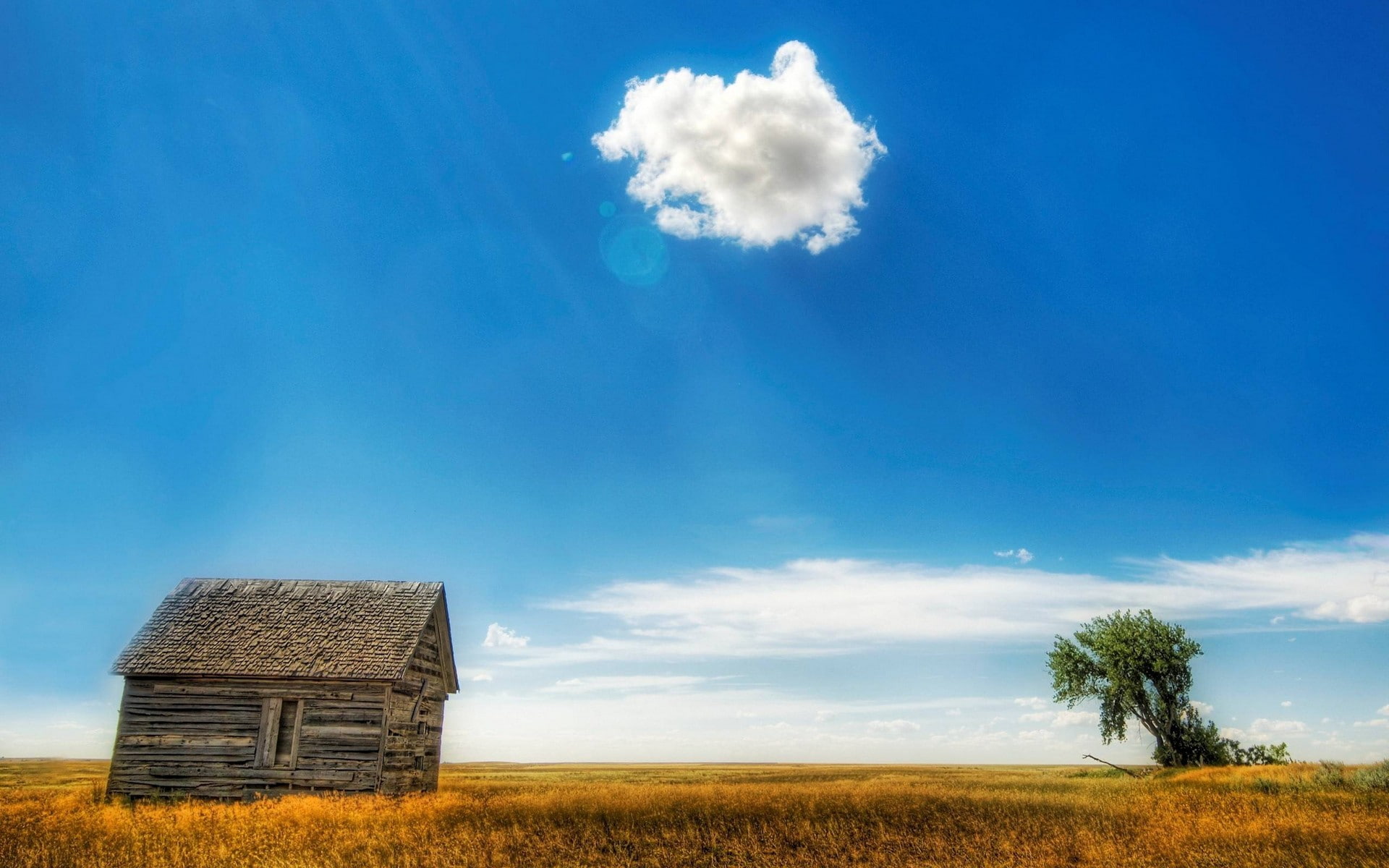 lens flare, cabin, trees, field, wood house, 1080P, dry grass, HD Wallpaper