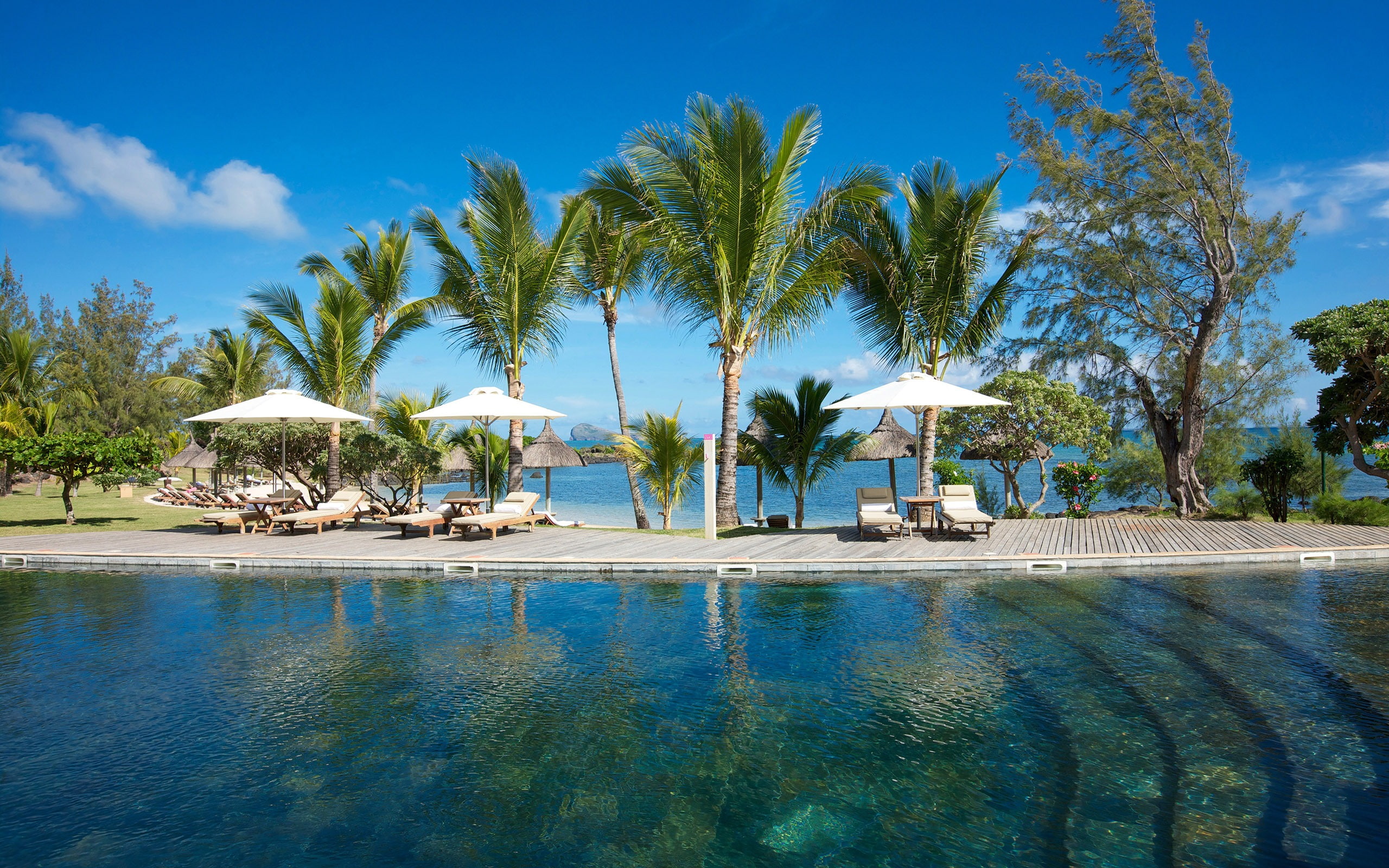 hotel, sunbed, beauty in nature, plant, land, water, tranquility, luxury, beach, nature, palm, high, tranquil scene, swimming pool, palm tree, tropical climate, HD Wallpaper