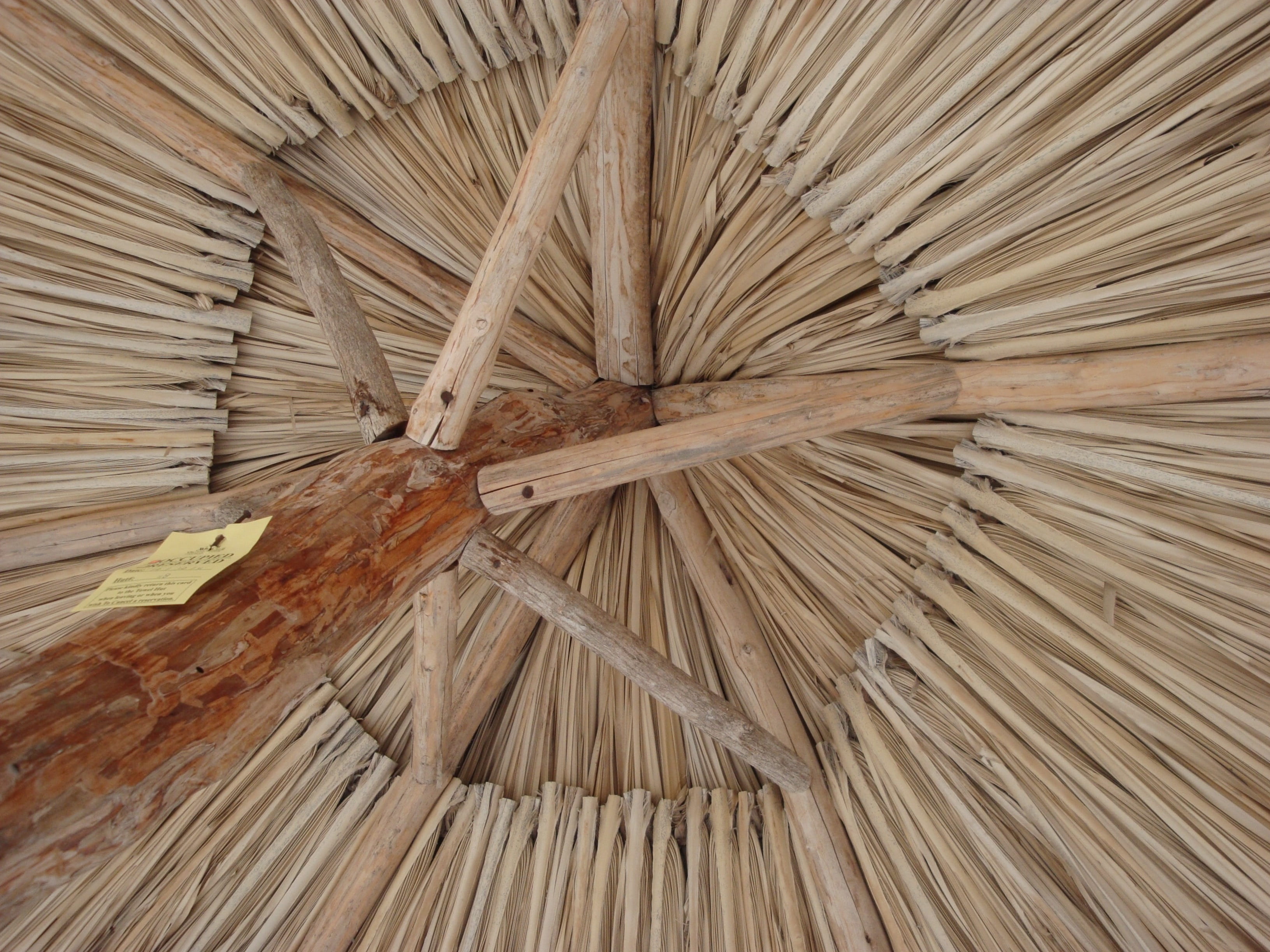 palm leaf, tree, beach, textured, full frame, sun, brown, shade, indoors, plant, hut, abundance, day, detail, large group of objects, 2K, still life, directly above, HD Wallpaper