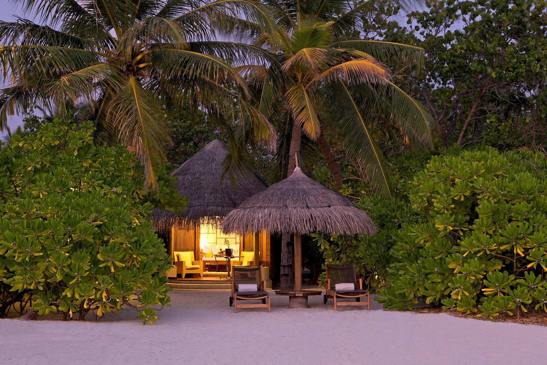 trees, beauty in nature, tranquil scene, land, outdoors, architecture, 1080P, plant, sunbed, tree, thatched roof, green, chair, beach, growth, greens, HD Wallpaper