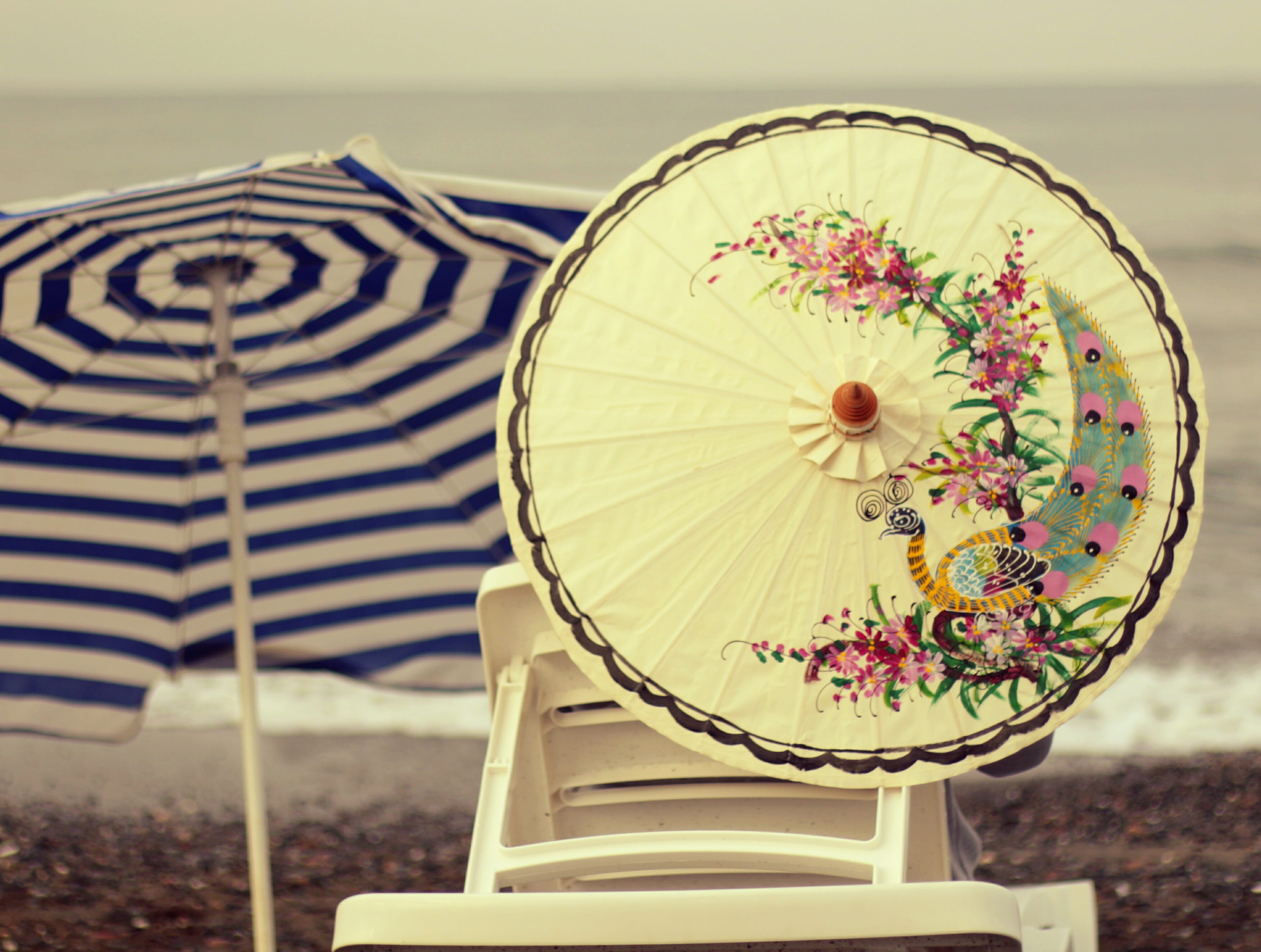 seat, no people, plant, chair, umbrella, absence, peacock, 2K, beauty in nature, pattern, nature, flower, close-up, water, coastal, solar, beach, land, HD Wallpaper