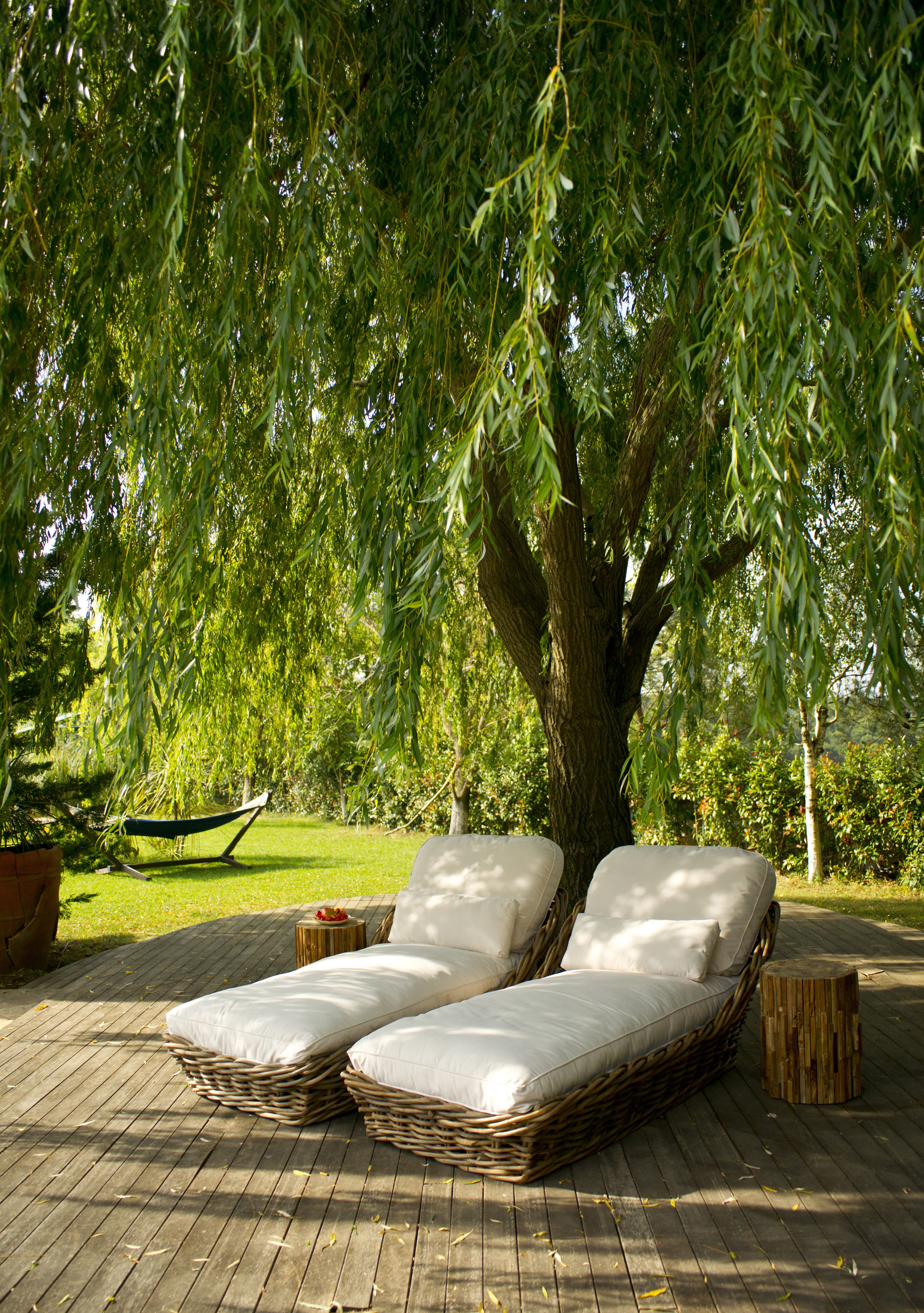 tree, swimming pool, 5K, day, sunbathing, wood - material, decor, pool, summer, front or back yard, park, tree trunk, sunbeds, sunlight, seat, peace, no people, Phone HD Wallpaper