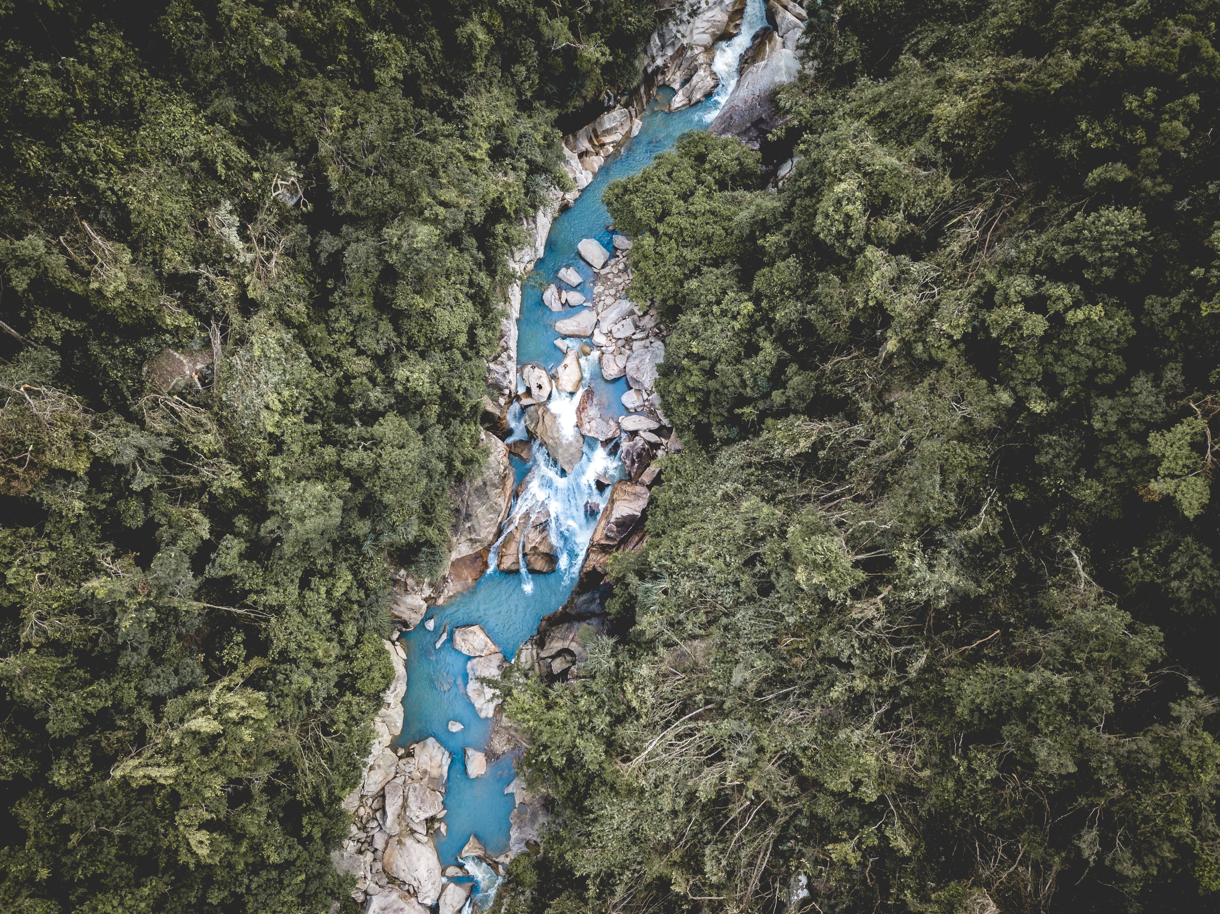 jungle, 4K, plant, day, scenics - nature, view, leisure activity, rainforest, high angle view, grove, tree, aerial view, resort, s, scenery, hotel, eye, HD Wallpaper