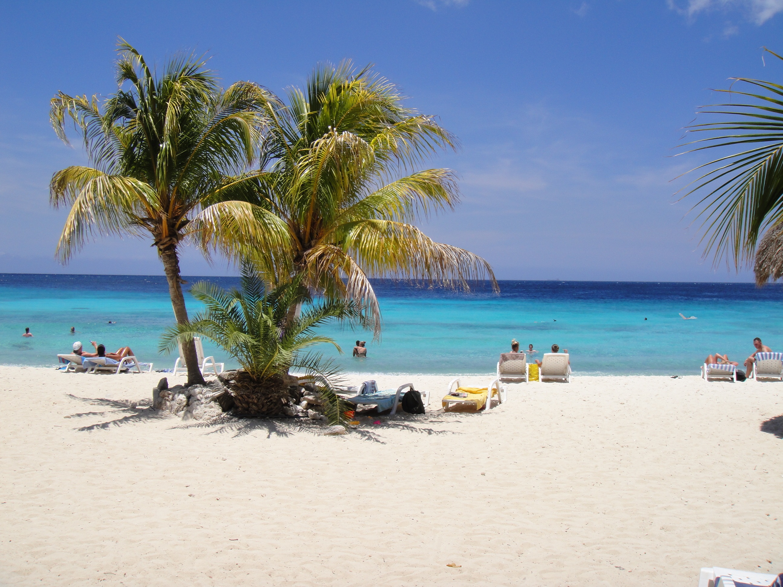 caribbean, tropical tree, sand, tranquil scene, horizon over water, trip, coastline, water, horizon, summer, antilles, sea, beach, tropical climate, travel, HD Wallpaper