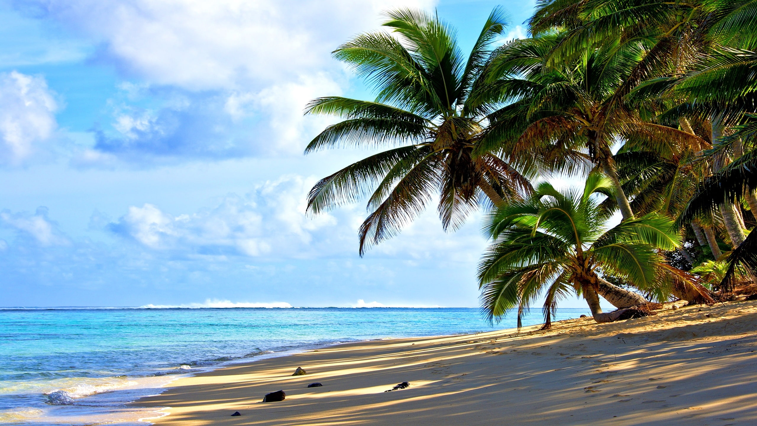 rarotonga, 2K, cook, isls, background, desktop, HD Wallpaper