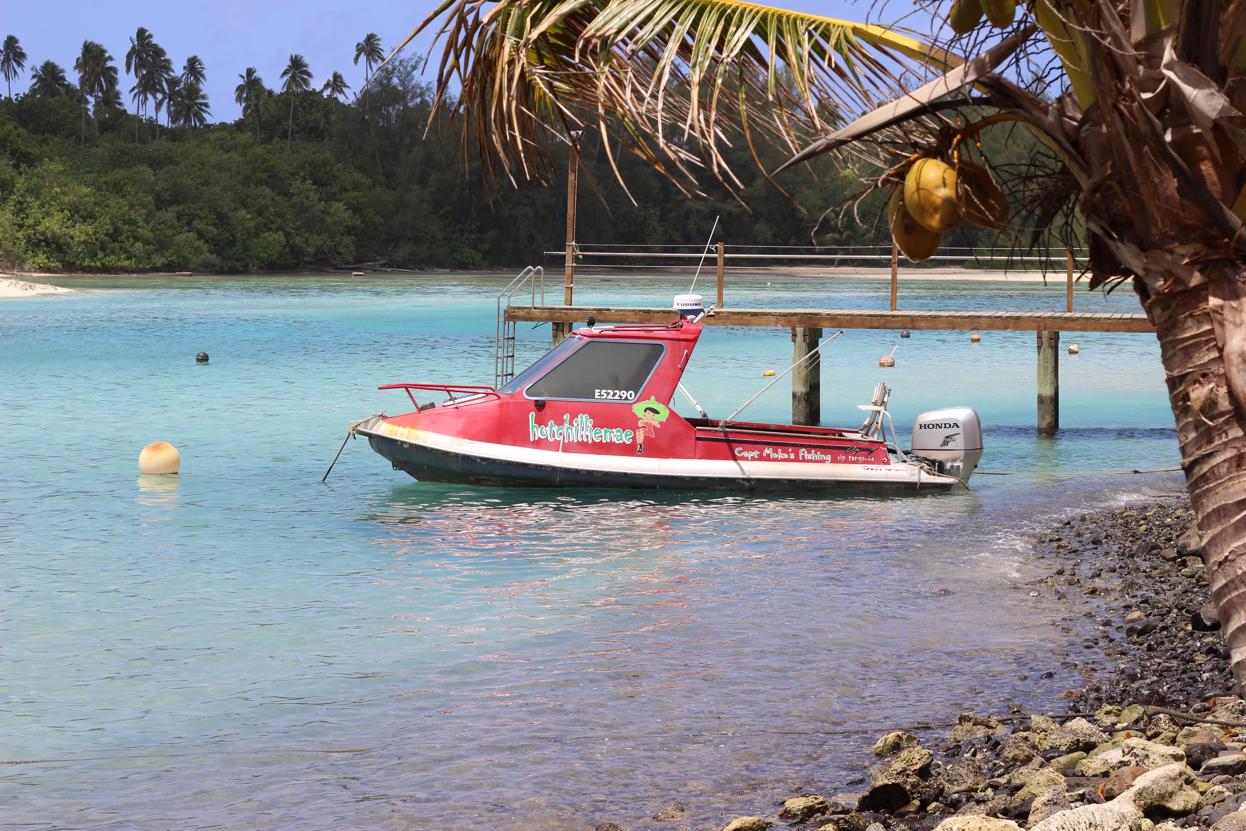 mode of transportation, moored, nature, rarotonga, palm, sea, tranquil scene, land, transportation, scenics - nature, beauty in nature, coconut, 5K, sailboat, HD Wallpaper