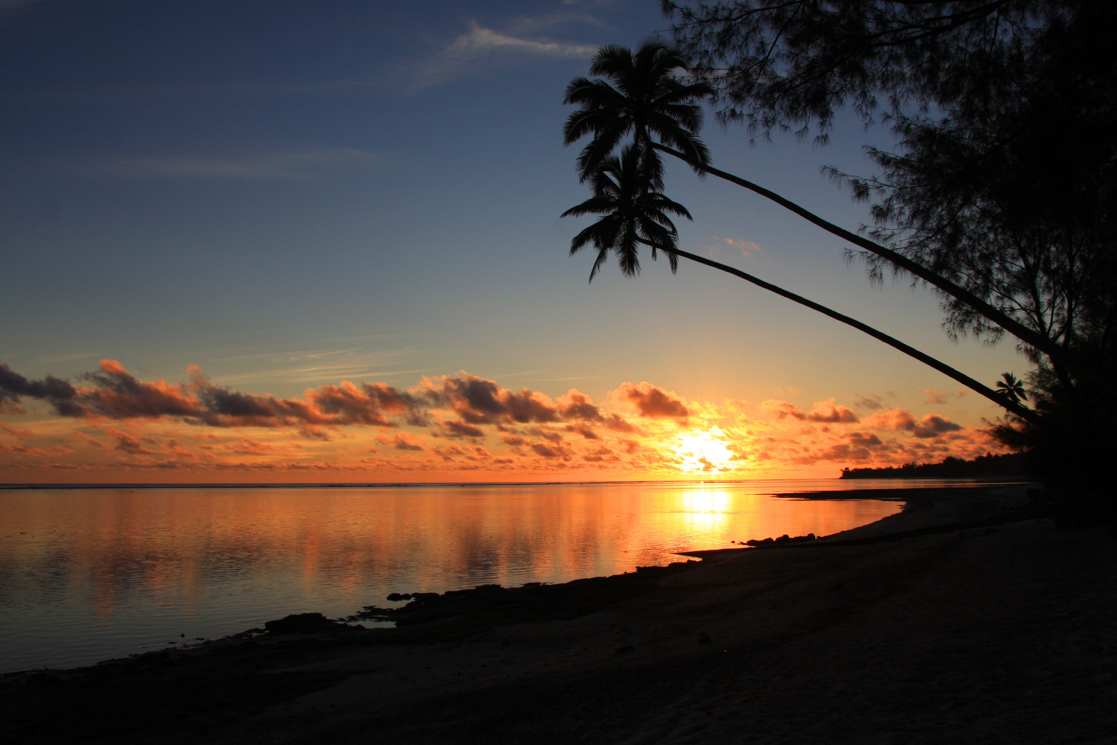 beauty in nature, cloud - sky, scenics - nature, nature, idyllic, beach, no people, rarotonga, 4K, tranquil scene, reflection, tree, orange color, sky, HD Wallpaper