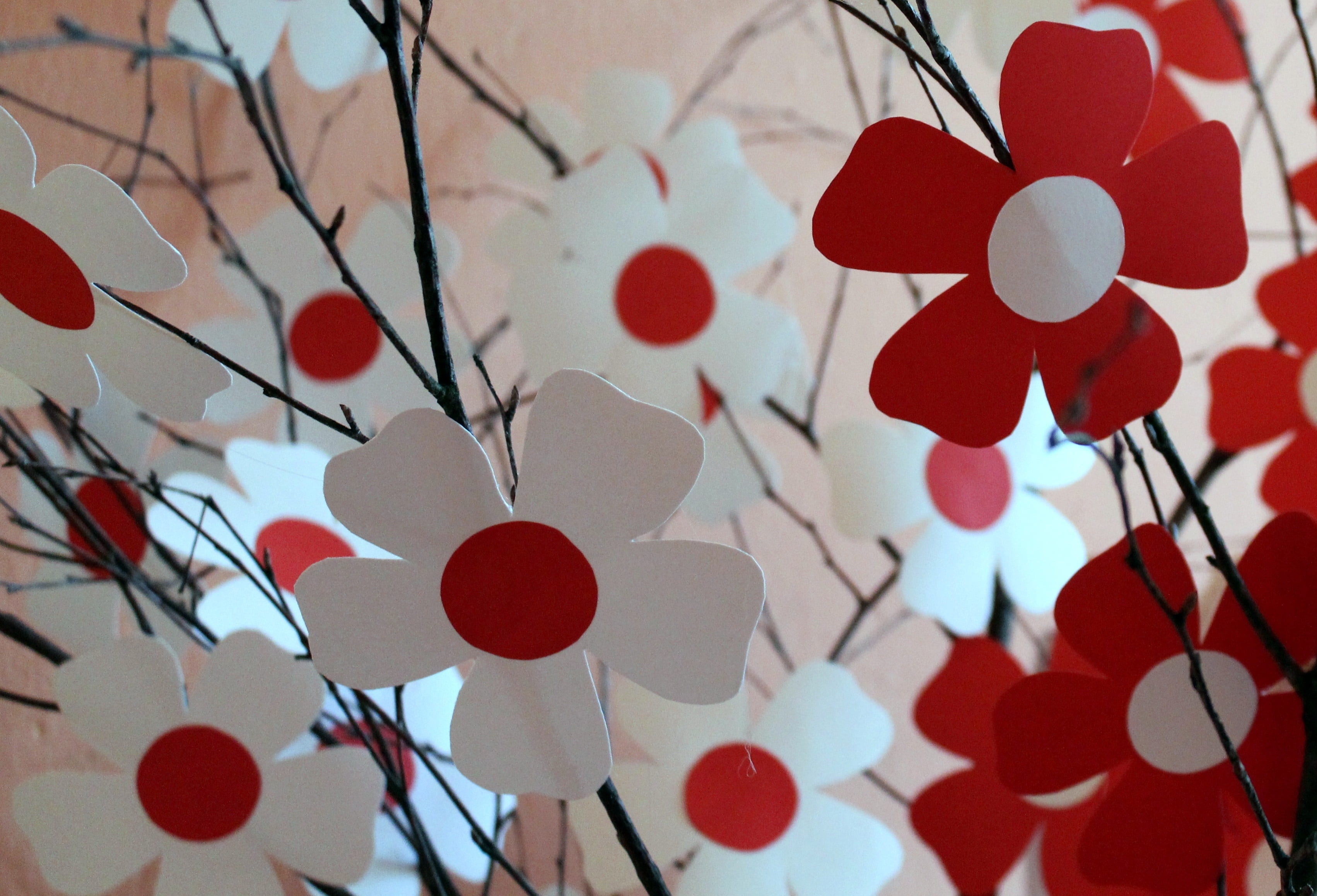 close-up, indoors, red, nature, creativity, independence day, branch, no people, event, multi colored, art and craft, heart shape, the ceremony, national colors, HD Wallpaper