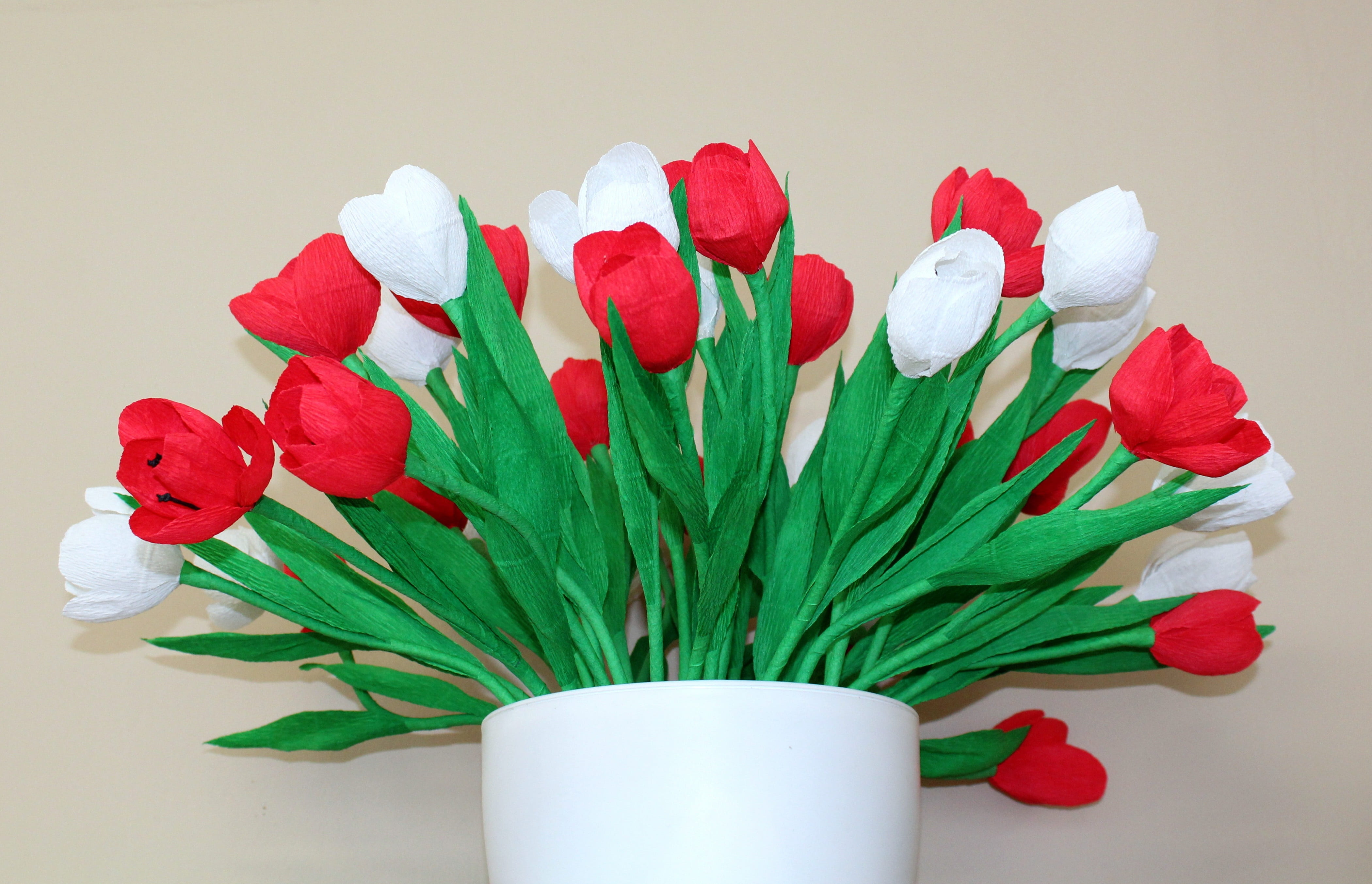 plant part, valentines day - holiday, flower head, nature, white color, independence day, still life, plant, freshness, flowers, tulip, red, 11 nov, beauty in nature, HD Wallpaper