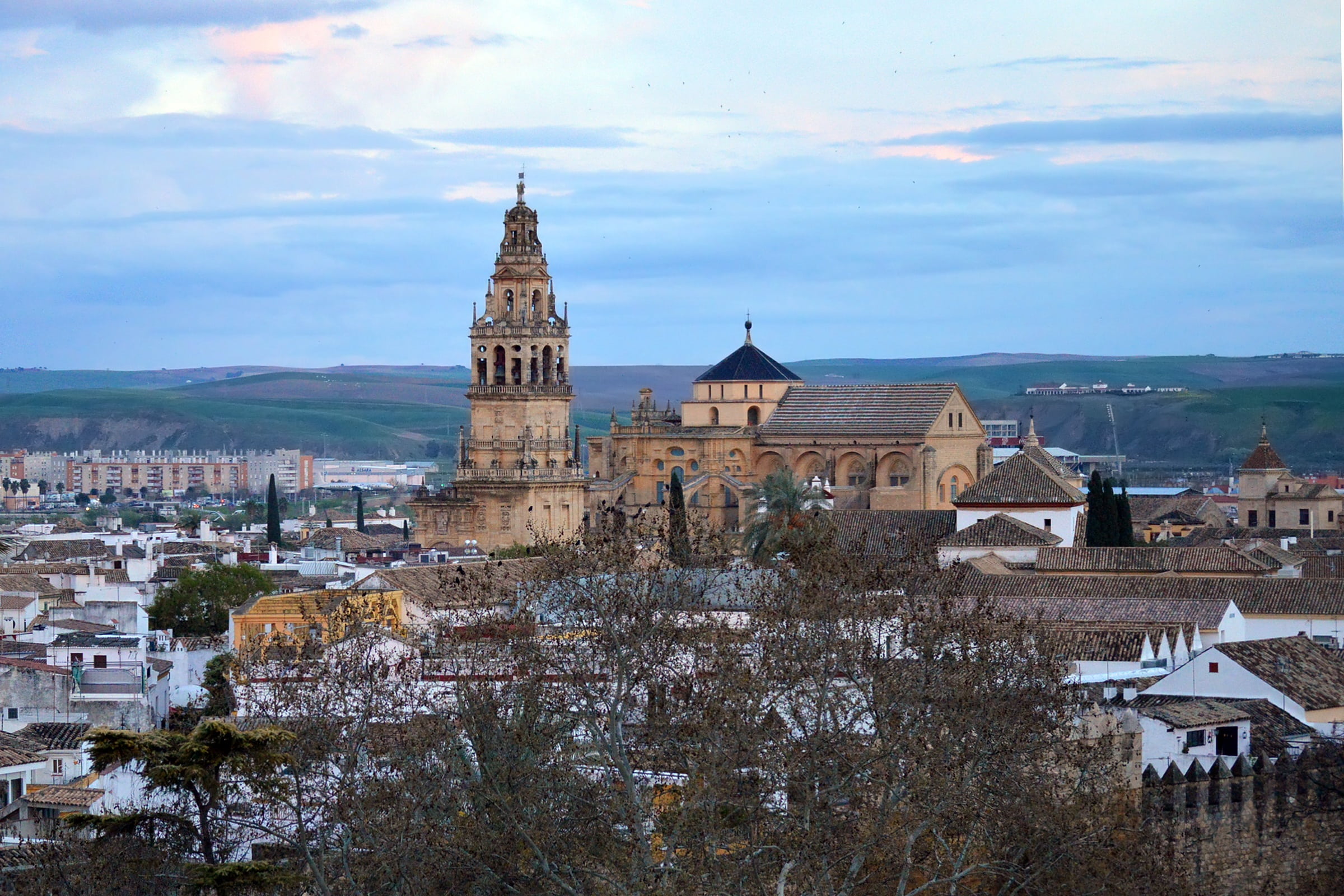 old, mosque, centre, spire, skyline, traditional, religion, old town, town, the past, cold temperature, religious, mezquita, unesco, historical, tree, city, HD Wallpaper
