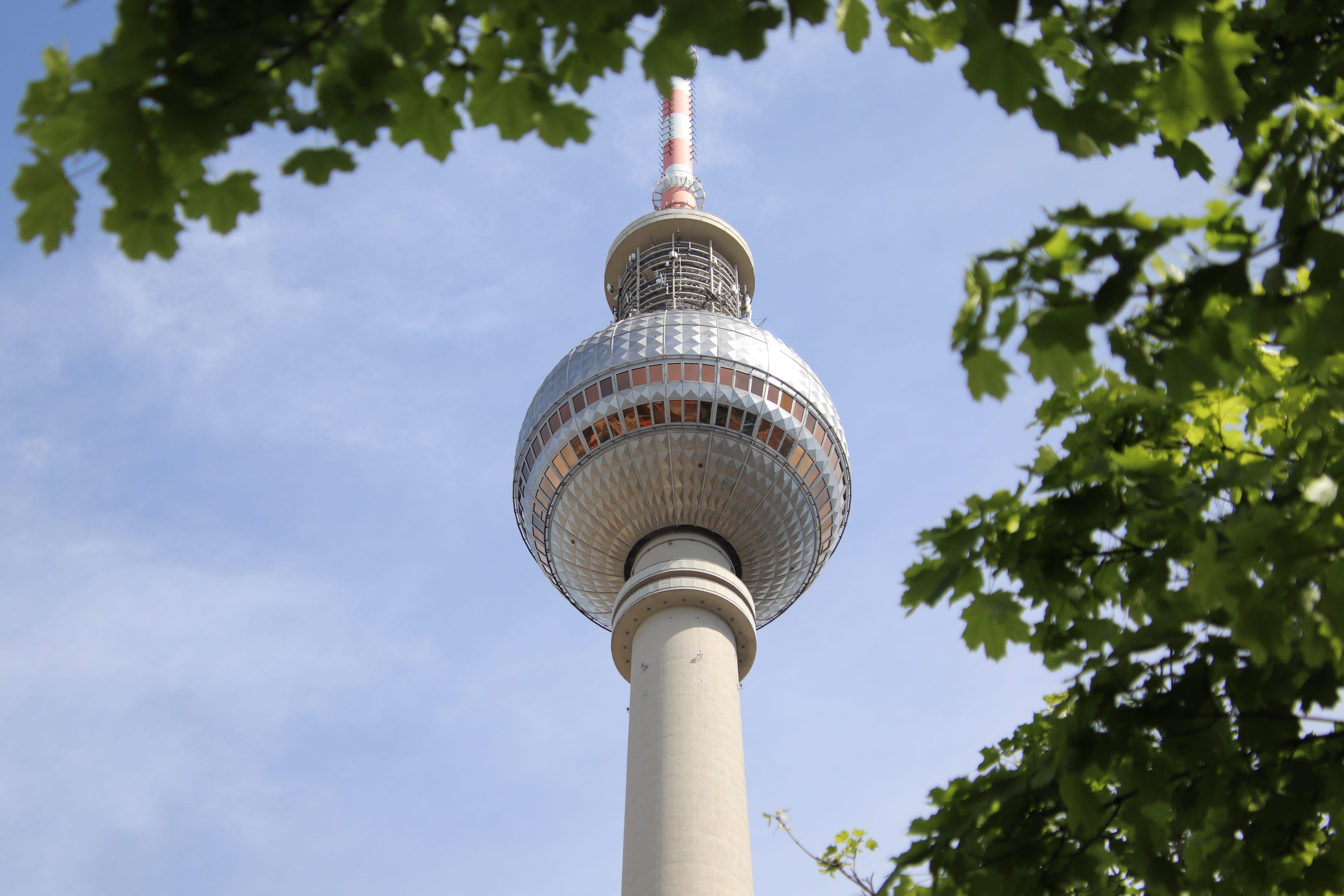 antennas, alexanderplatz, telespargel, germany, architecture, tree, spire, construction pole, tall - high, ball, building exterior, communication, plant, HD Wallpaper