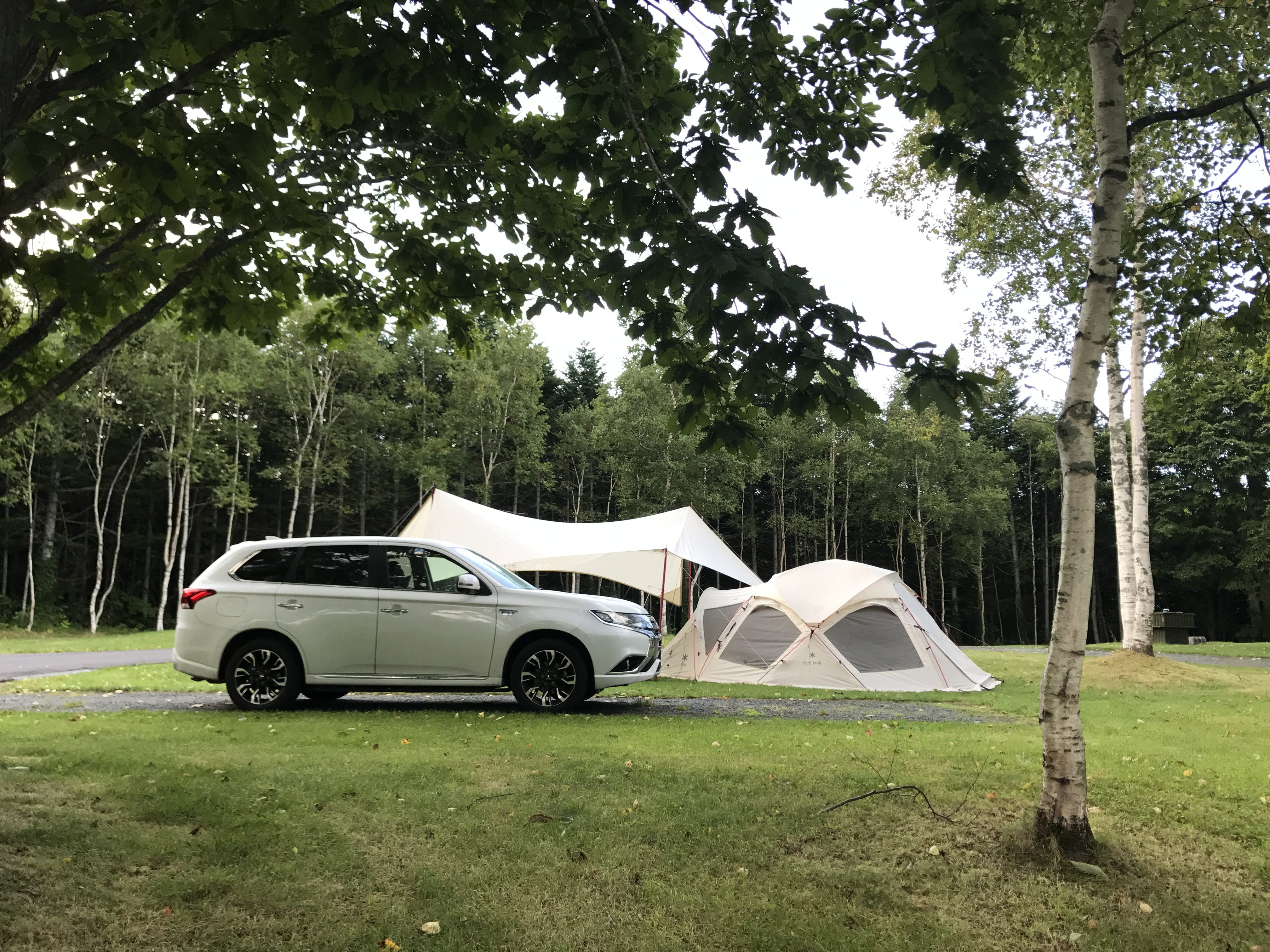 natural, land vehicle, land, branch, mode of transportation, auto camp, no people, tent, electric vehicles, growth, plant, nature, tree trunk, motor vehicle, HD Wallpaper