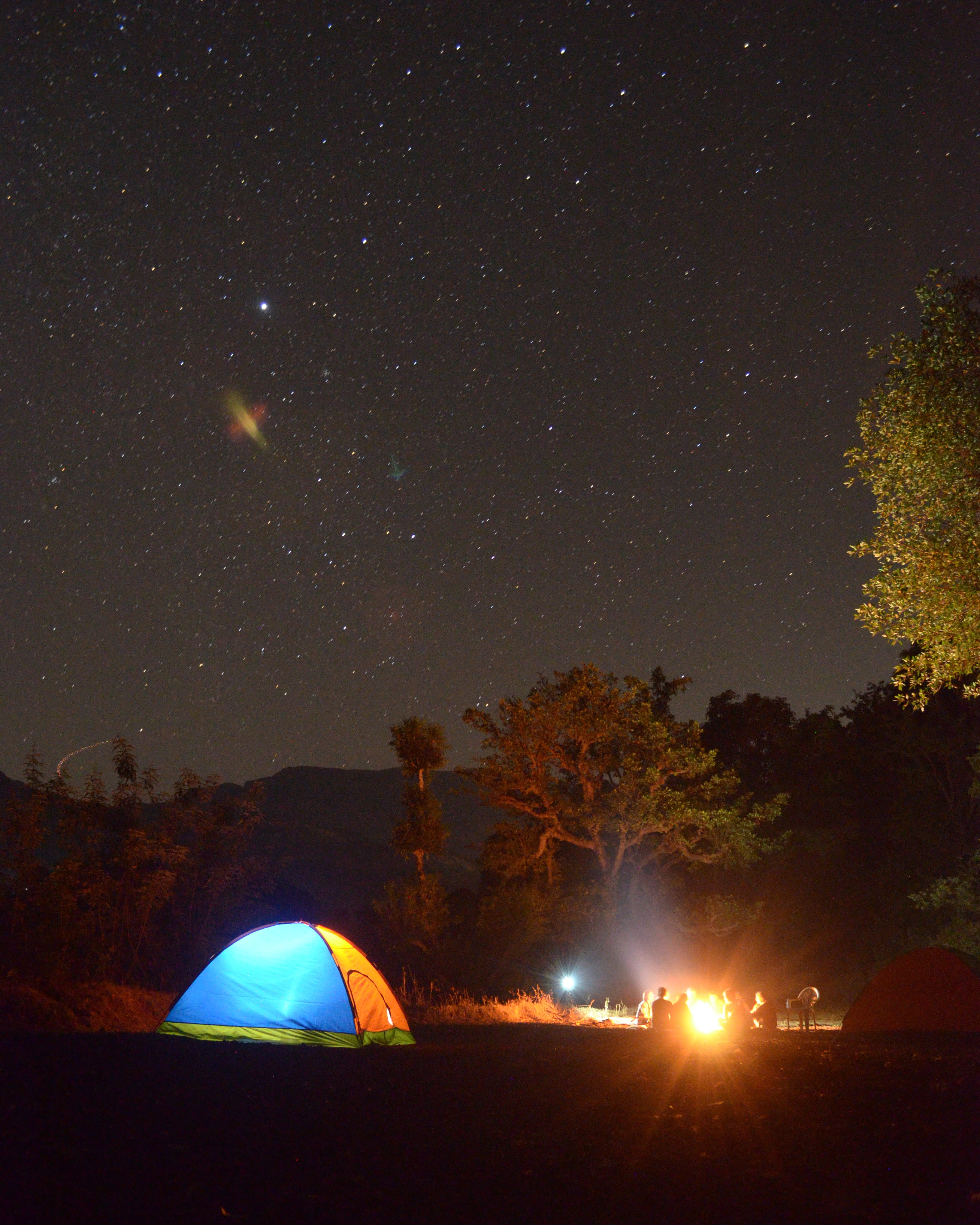 yellow, light, land, sky, dark, milky way, star - space, people, illuminated, bonfire, night, time, field, starry night, trees, tree, lighted, no people, Phone HD Wallpaper