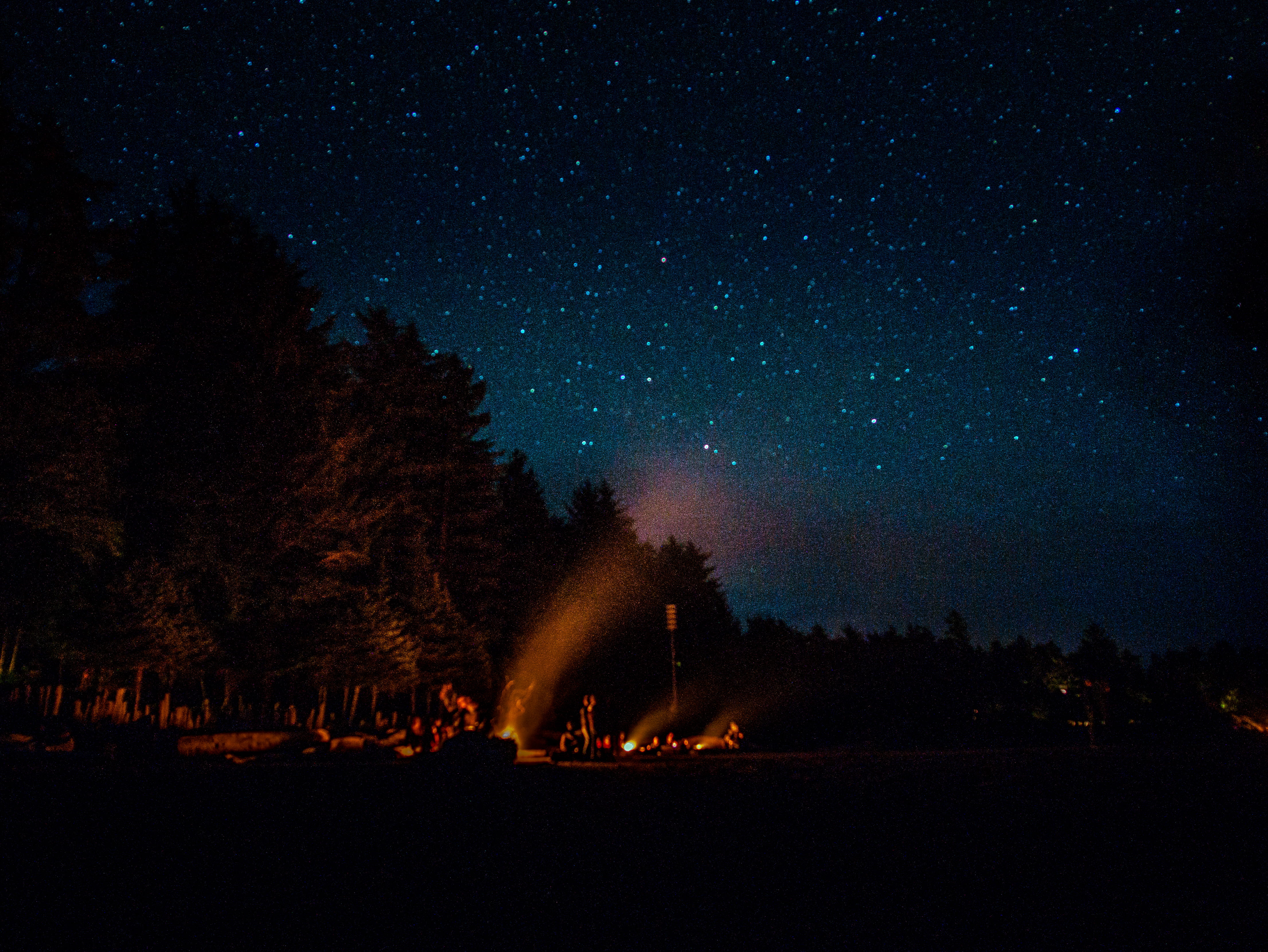 plant, outdoors, star - space, beauty in nature, architecture, nature, milky way, people, stars, sky, astronomy, tree, galaxy, idyllic, no people, dark, HD Wallpaper