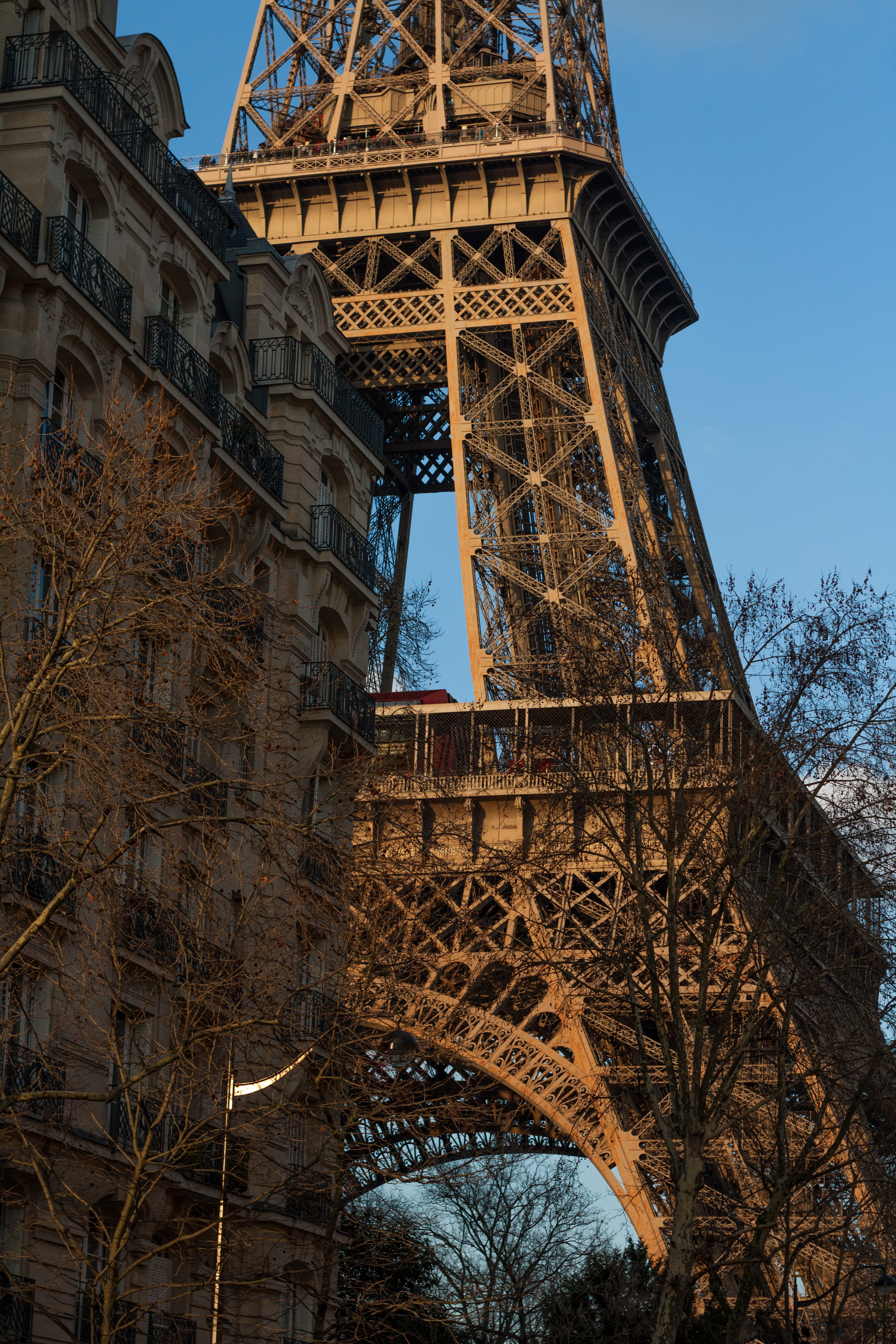 Sunny, history, travel, clear sky, Eifel Tower, low angle view, Paris, sky, city, built structure, outdoors, metal, Tour Eifel, building exterior, tree, Phone HD Wallpaper