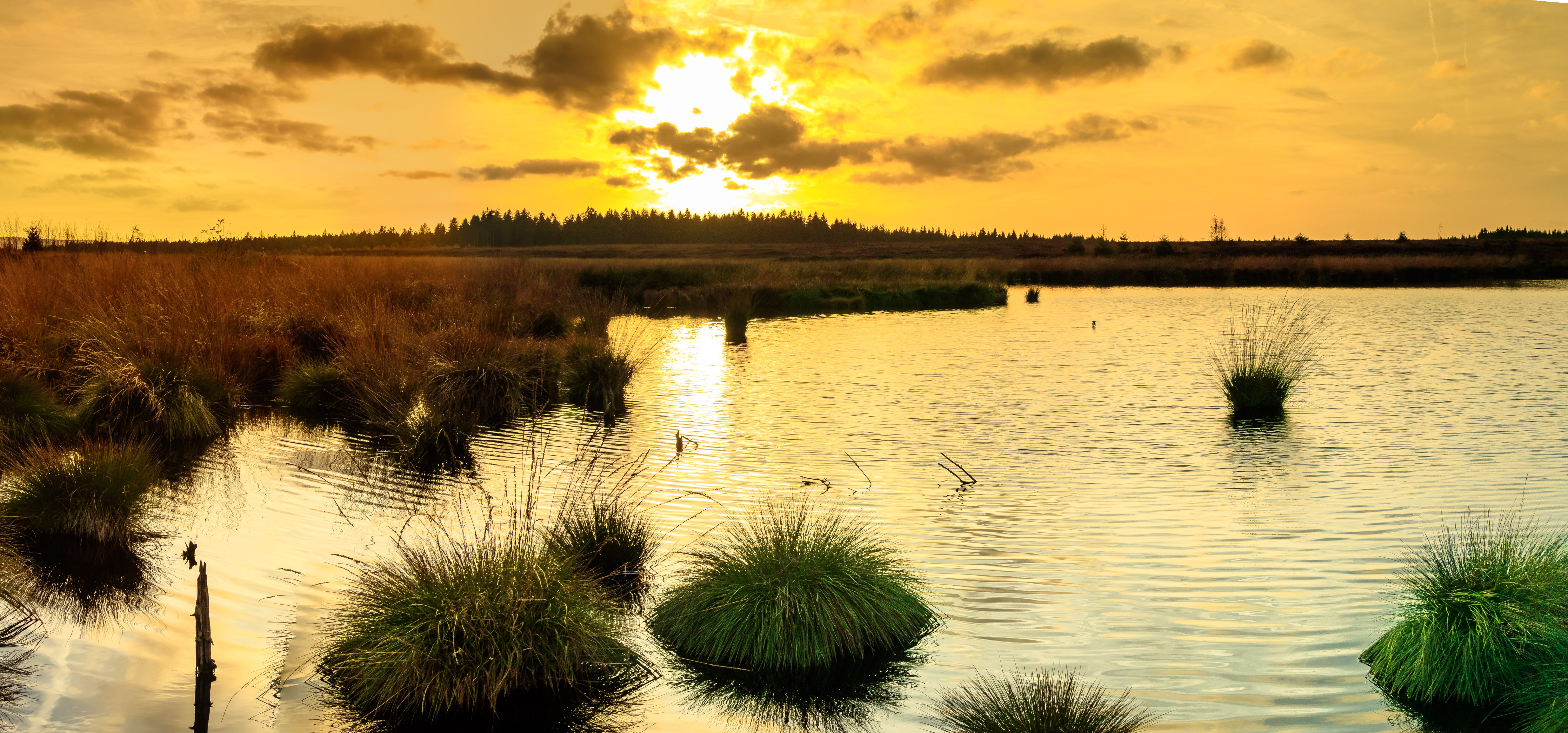 cloud - sky, tranquility, tranquil scene, moorland, marsh, scenics - nature, tree, moor, growth, landscape, veen, no people, reflection, lake, nature reserve, HD Wallpaper