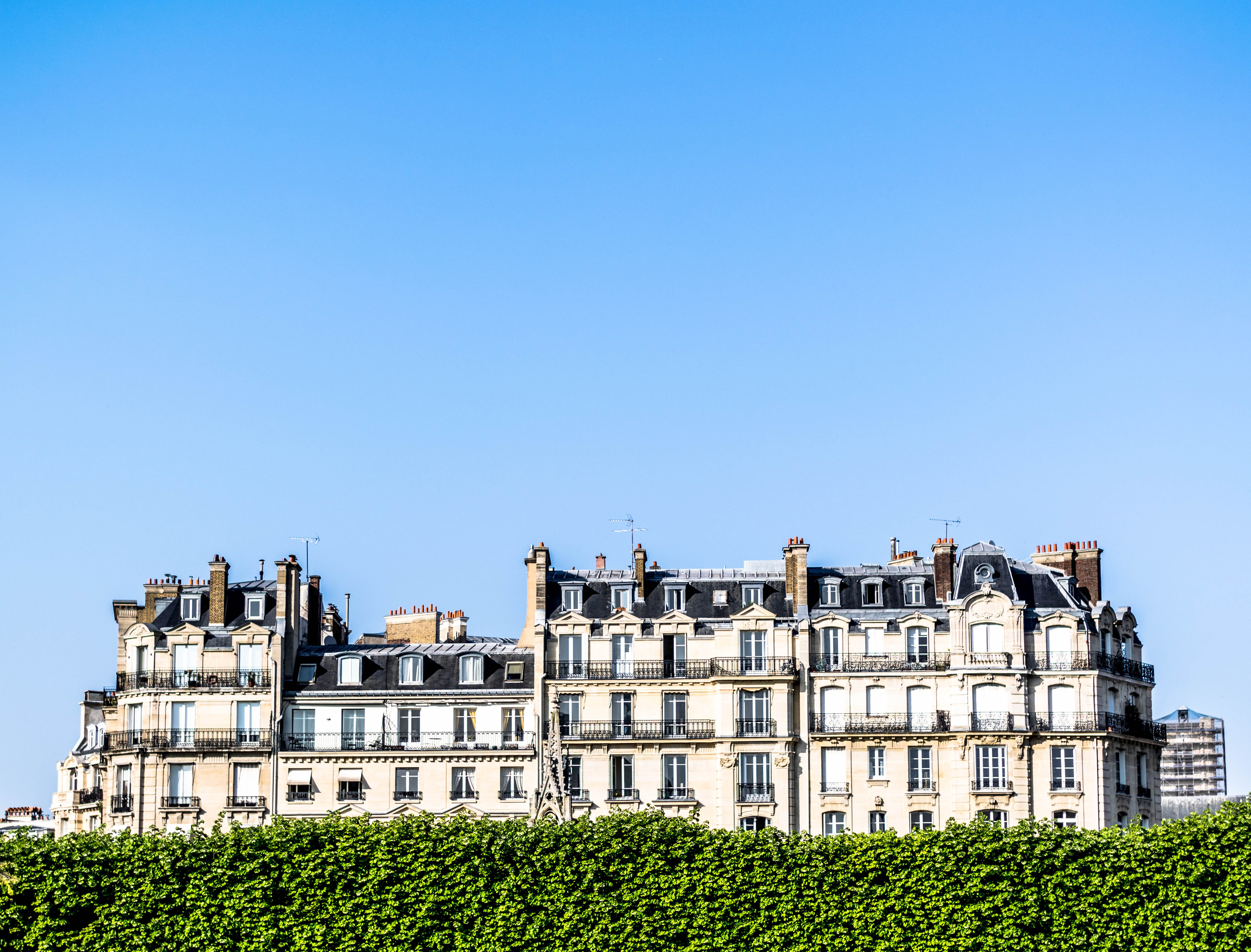 minimalism, trees, empty, built structure, immeuble, windows, plant, france, building, large, mansion, parisian, 5K, blue, day, tree, sky, architecture, HD Wallpaper