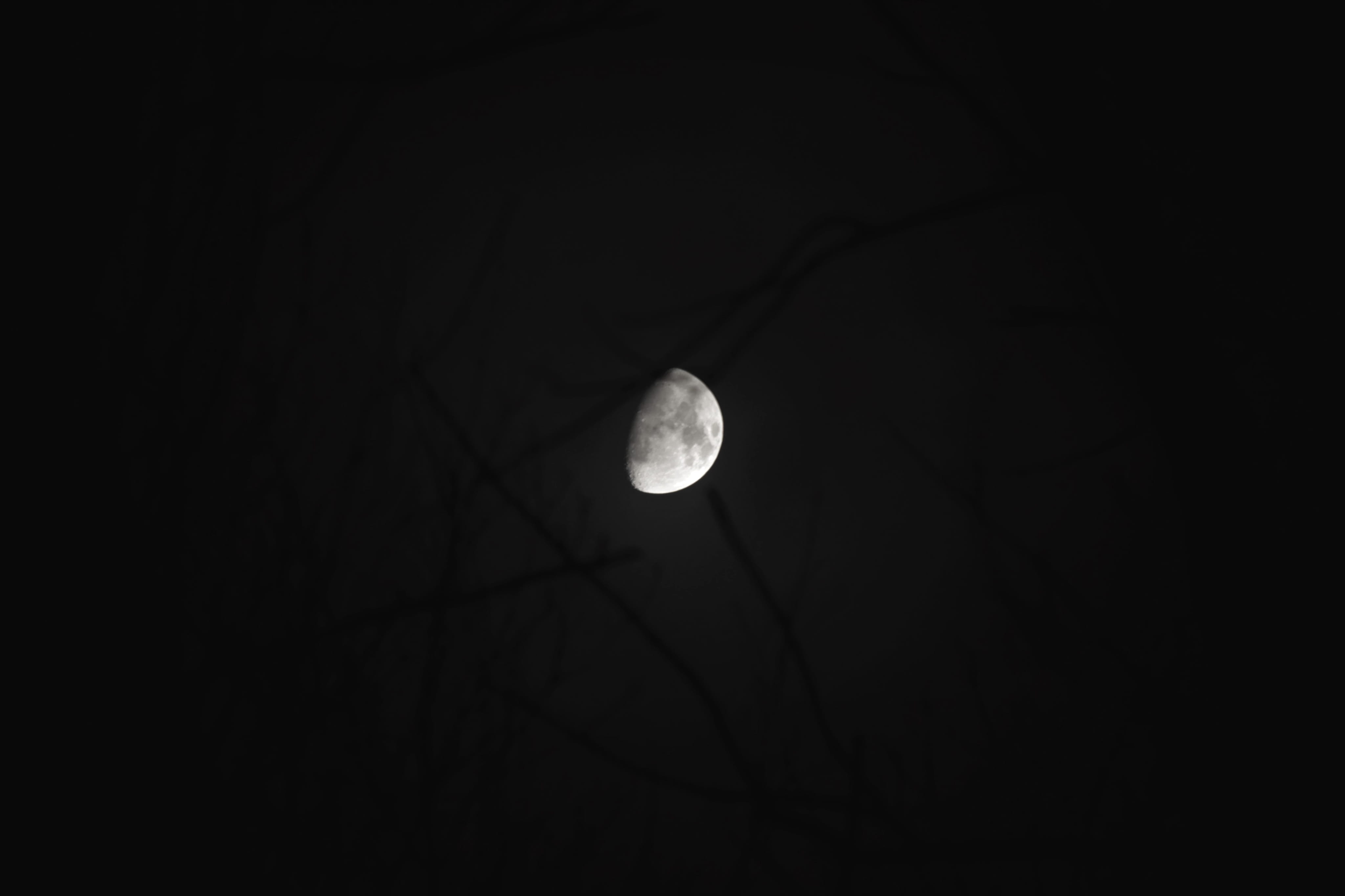  astronomy, spooky, moonlight, eclipse, moon, space and astronomy, tranquil scene, planetary moon, sky, beauty in nature, space exploration, no people, HD Wallpaper
