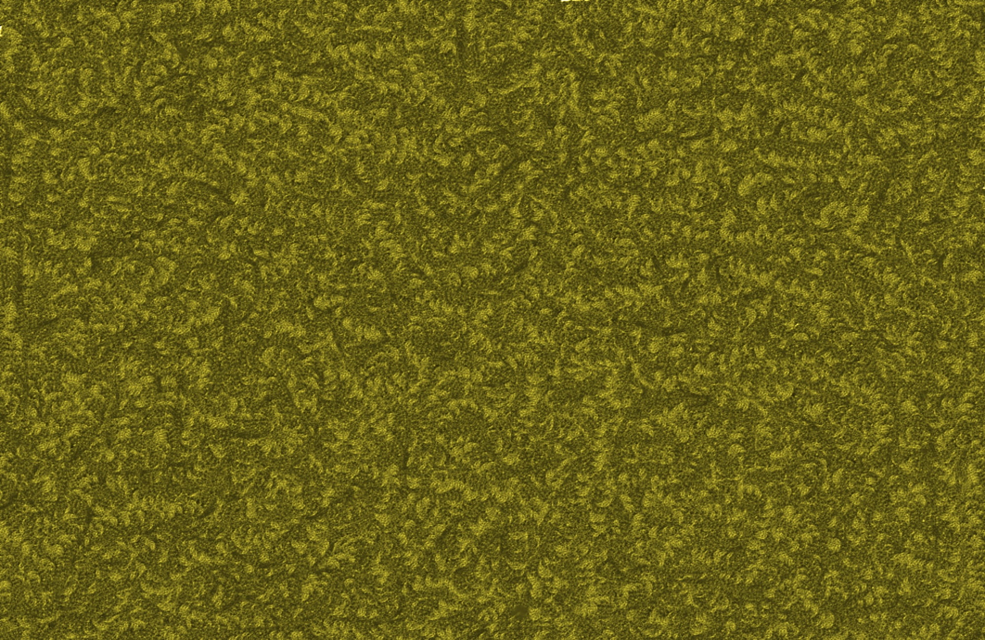 studio shot, color, pattern, full frame, clean, textured effect, background, no people, grass, backgrounds, abstract background, close-up, green background, HD Wallpaper
