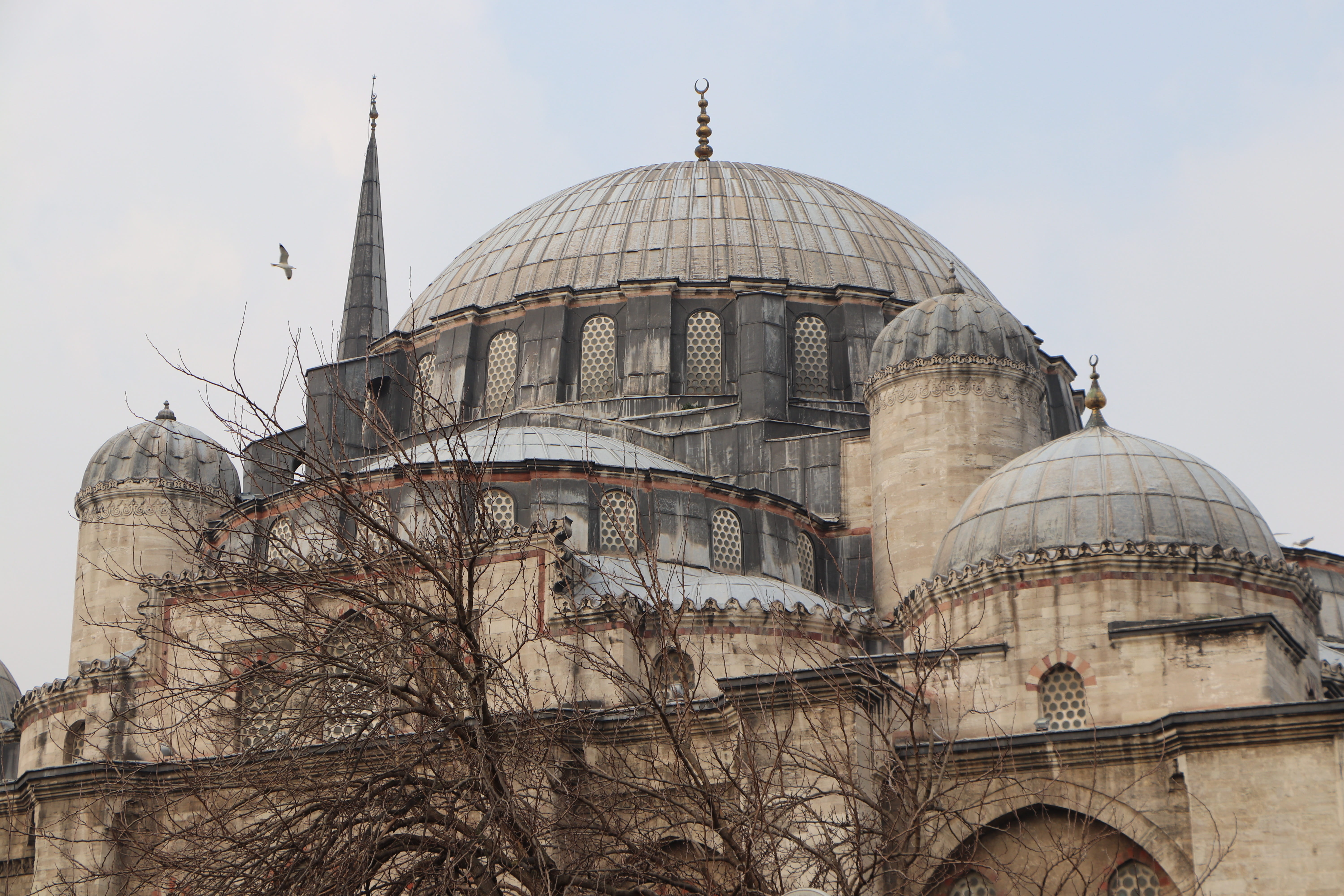 religion, day, spirituality, old, no people, arch, worship, tourism, minaret, faith, nature, outdoors, jewish, beautiful, dome, bare tree, low angle view, HD Wallpaper
